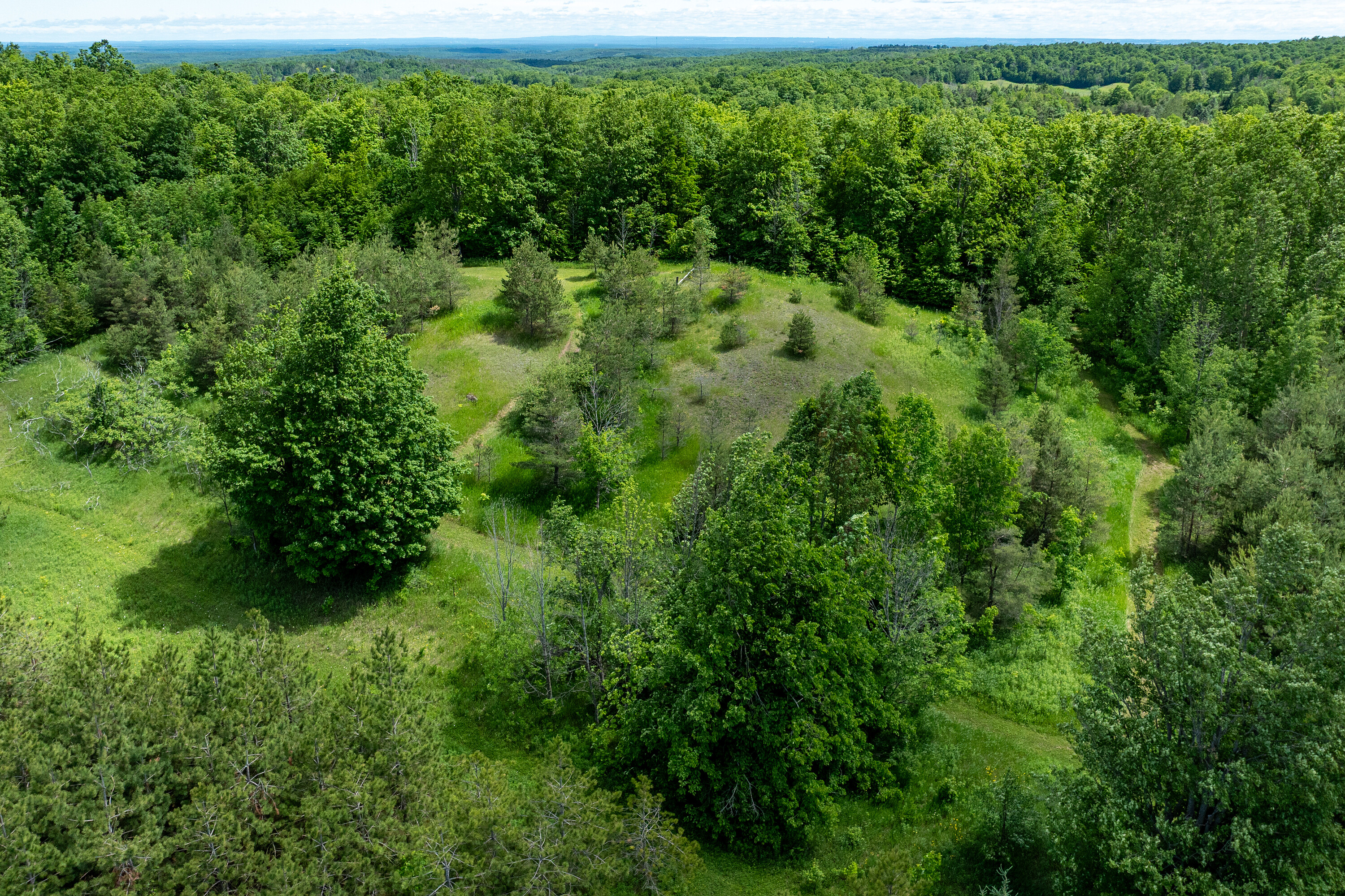  50 acre parcel in Mulmur ON - 物件實景