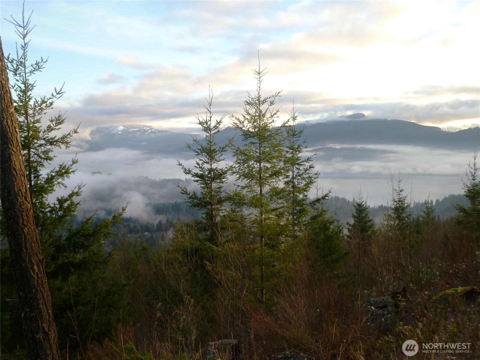 Bellingham, Washington, 98226, United States, ,Land,For Sale,1846536