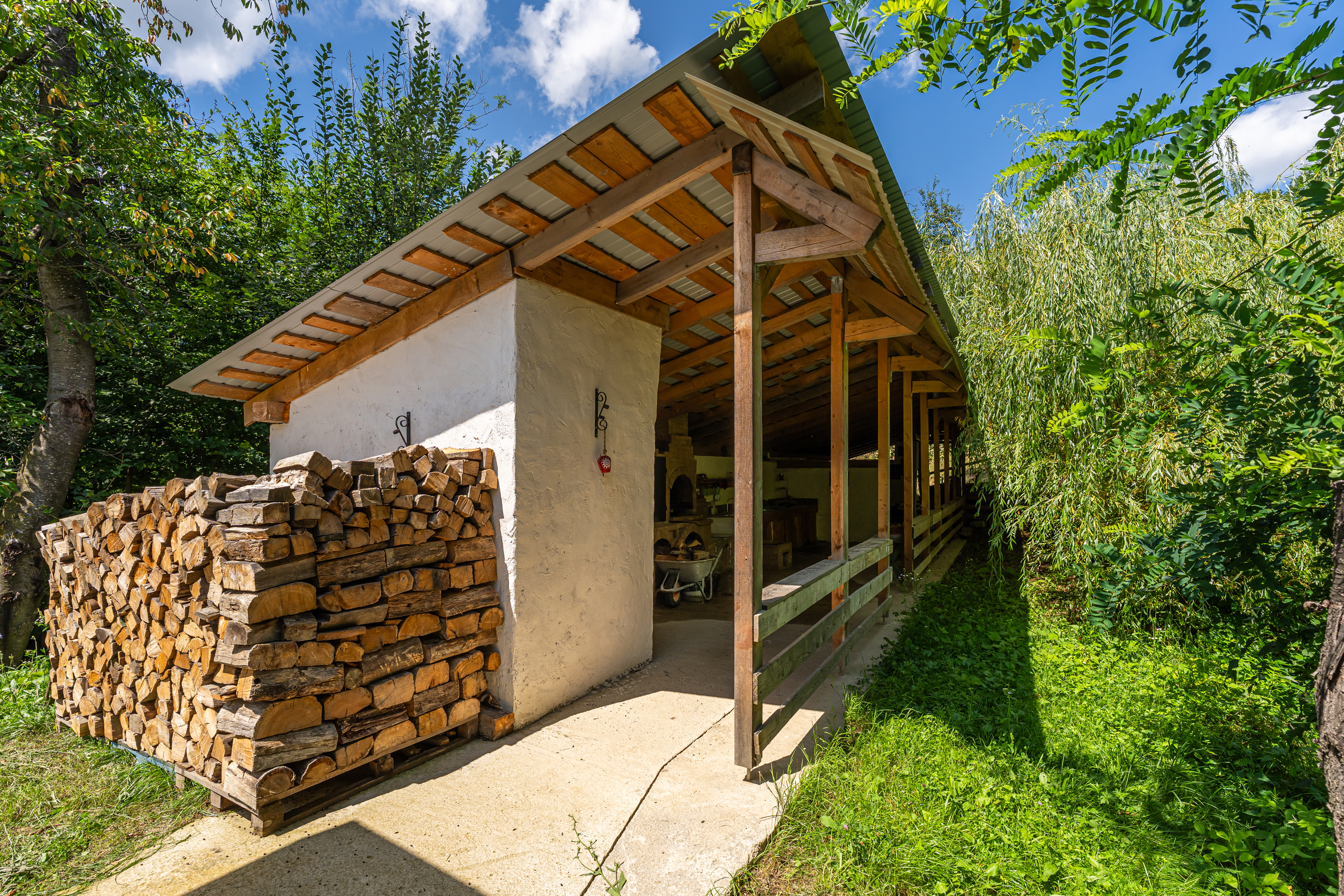  Versatile 22-Hectare Private Estate - Forested Heart of the Apuseni Mountains - 物件實景