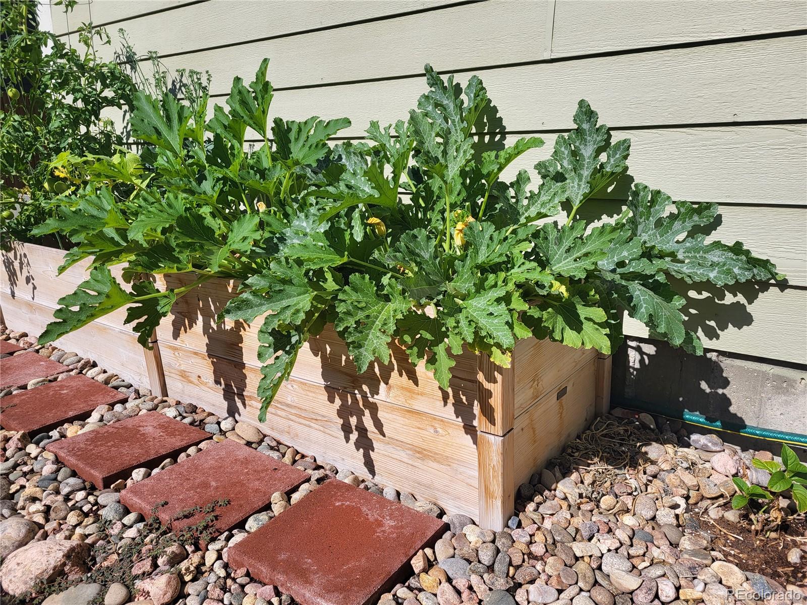 Aurora, Colorado, 80013, United States, 5 Bedrooms Bedrooms, ,3 BathroomsBathrooms,Residential,For Sale,2001899