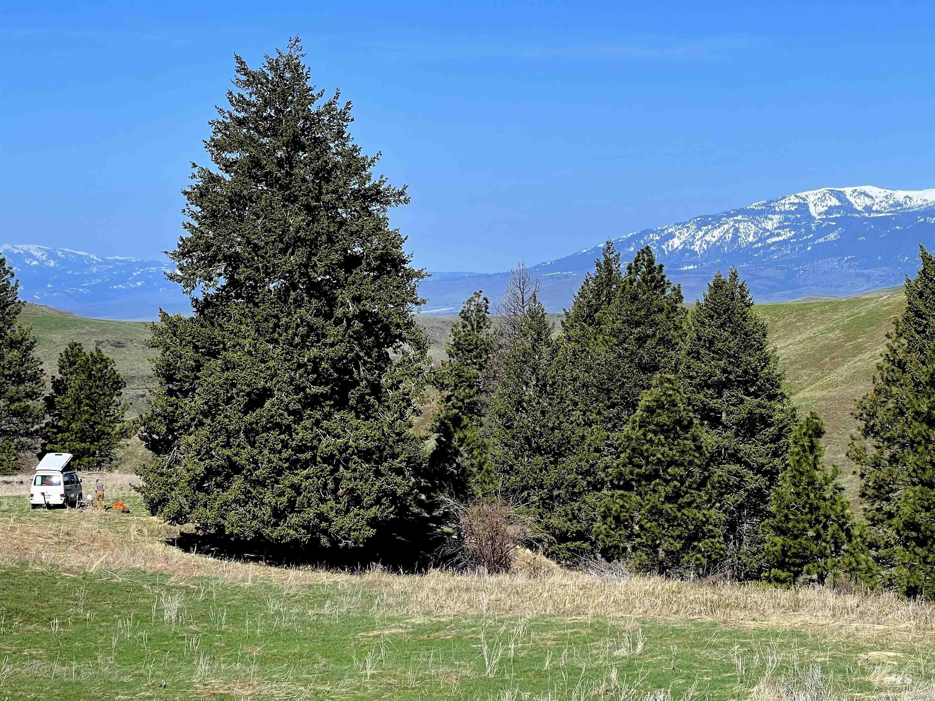 Council, Idaho, 83612, United States, ,Residential,For Sale,1921921