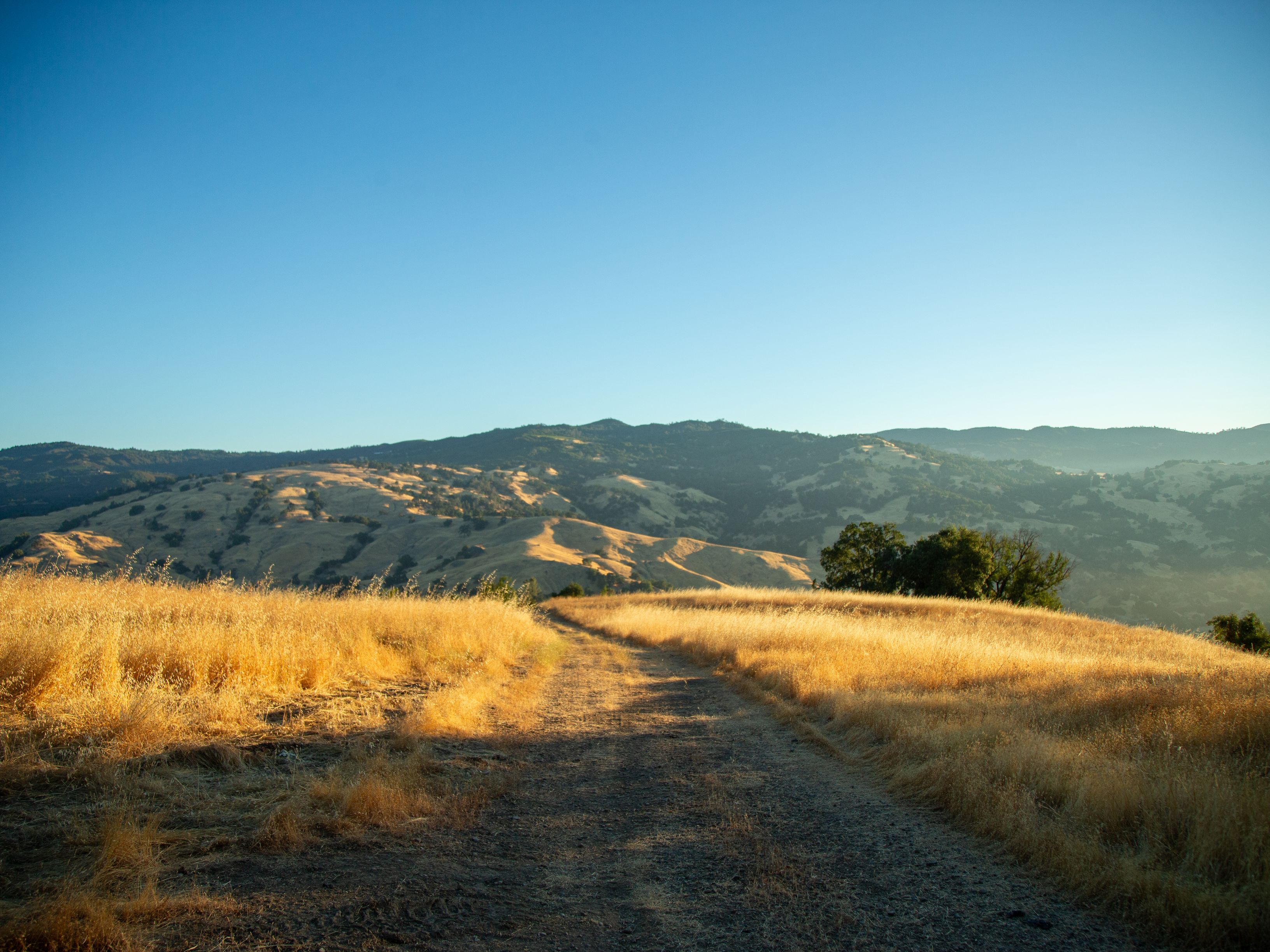  Very Rare Opportunity Alexander Valley Ranch - 物件實景