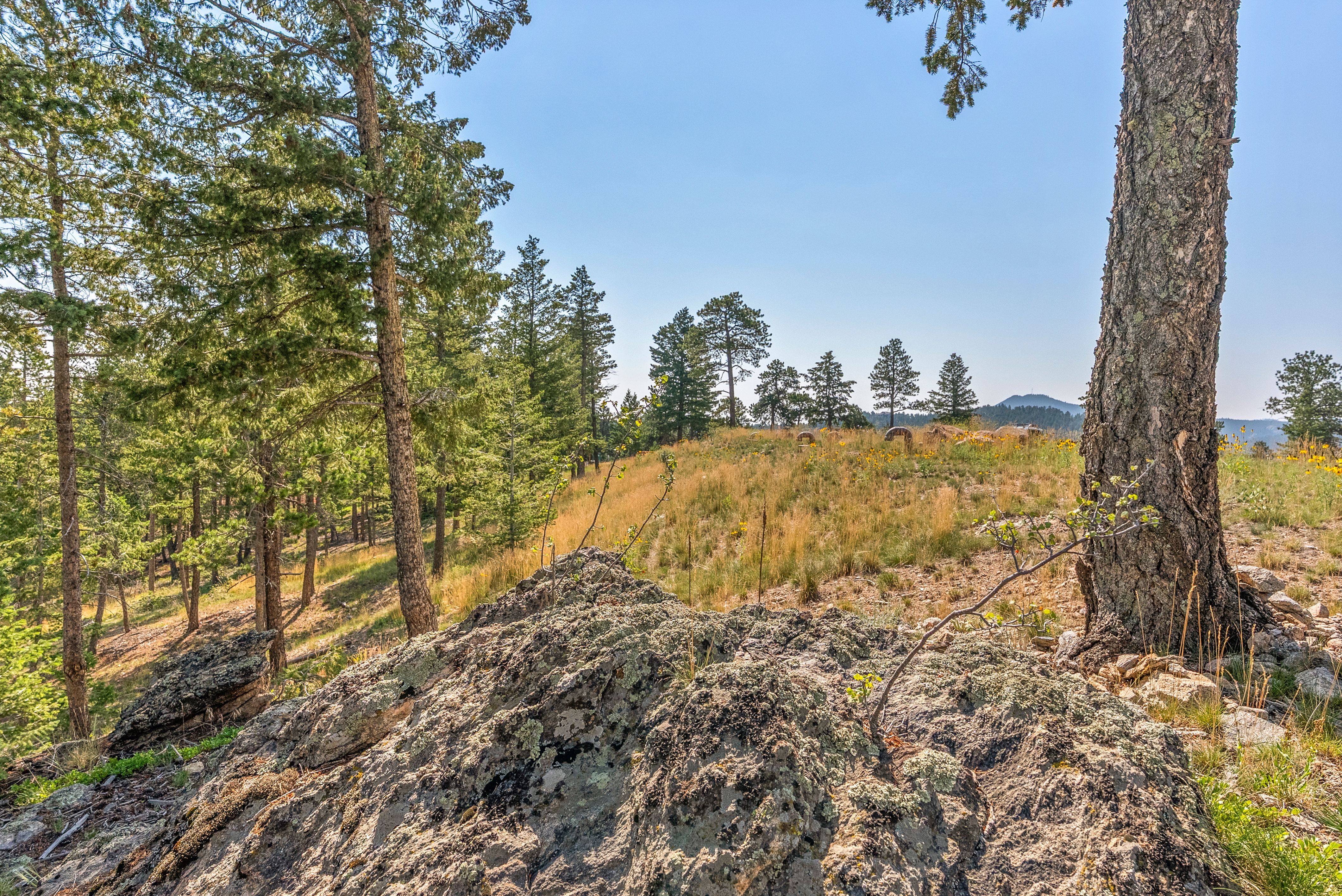 Acreage Available in Evergreen