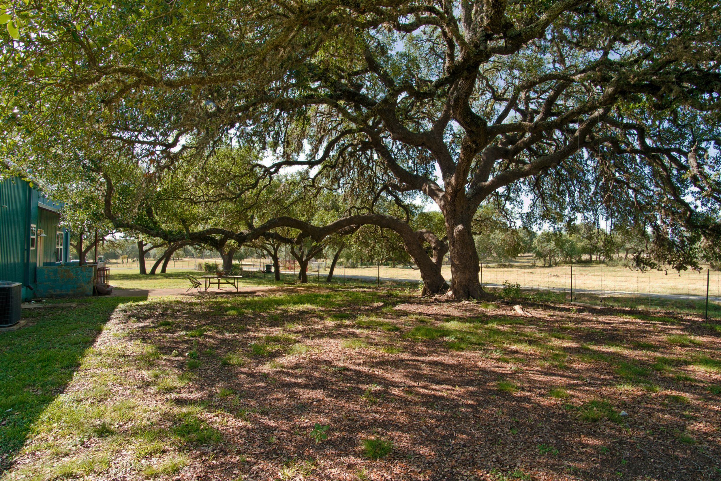  Uballe Ranch in Blanco County - 物件實景