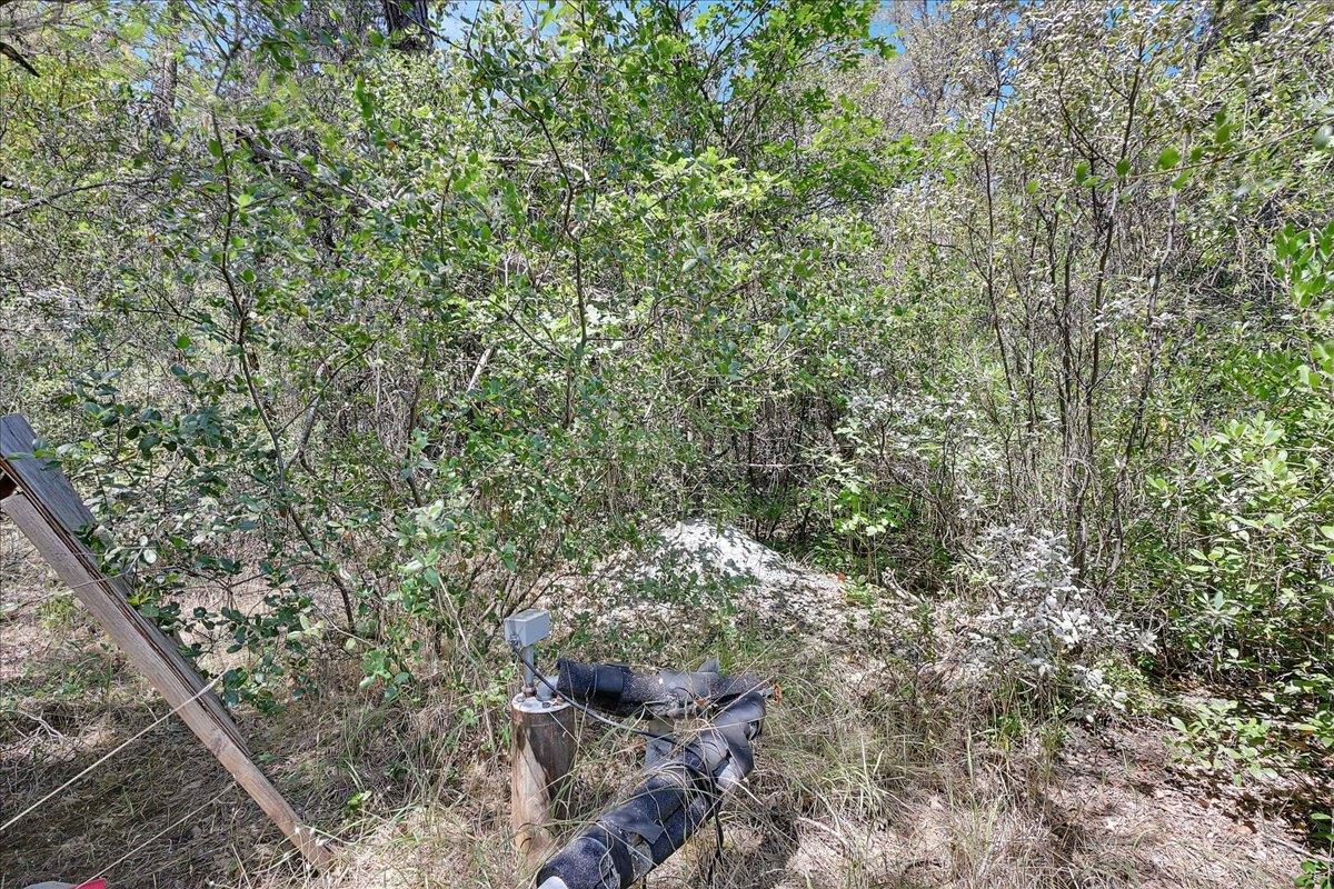 Oregon House, California, 95962, United States, ,Land,For Sale,1975767