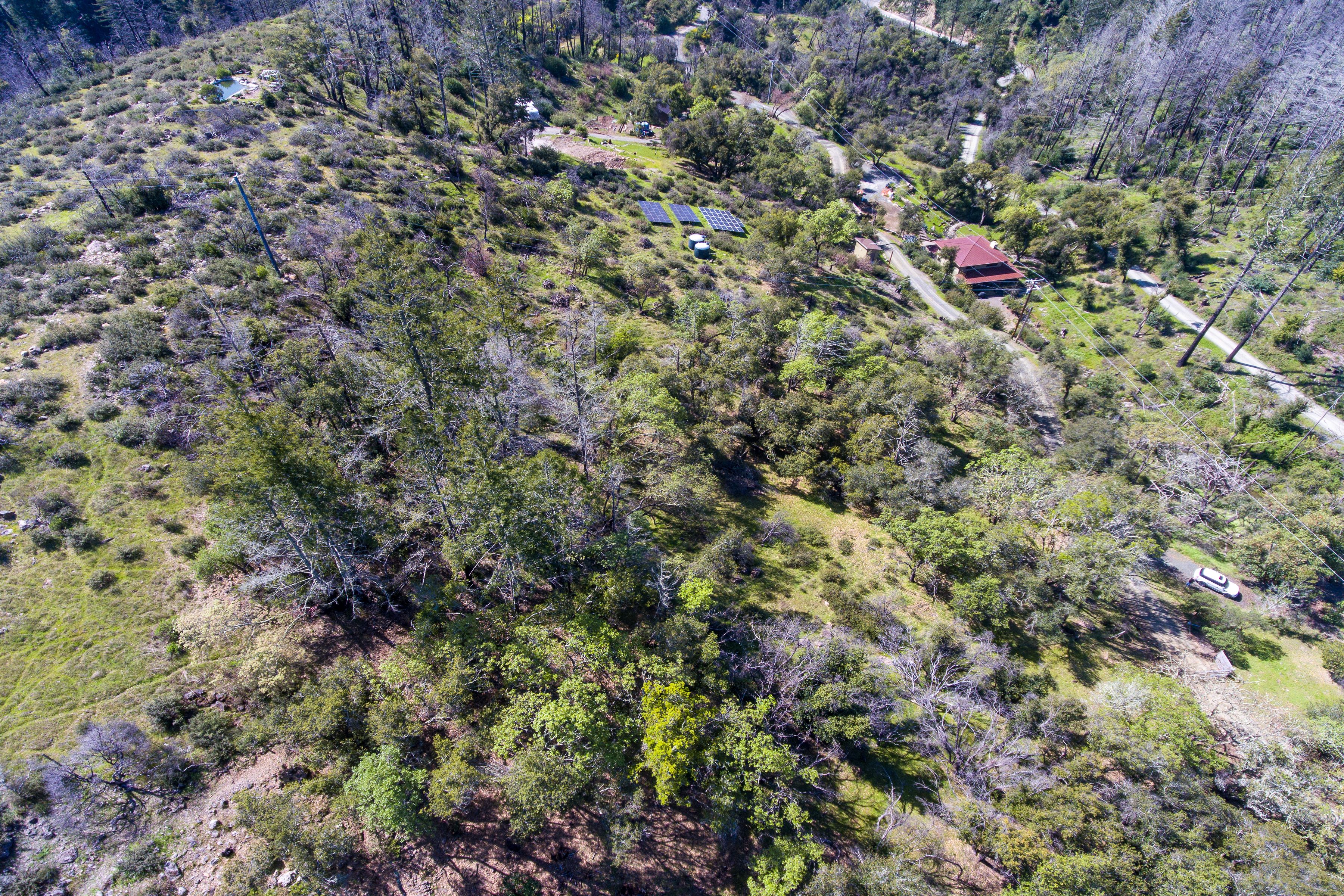  7935 St Helena Road - 物件實景