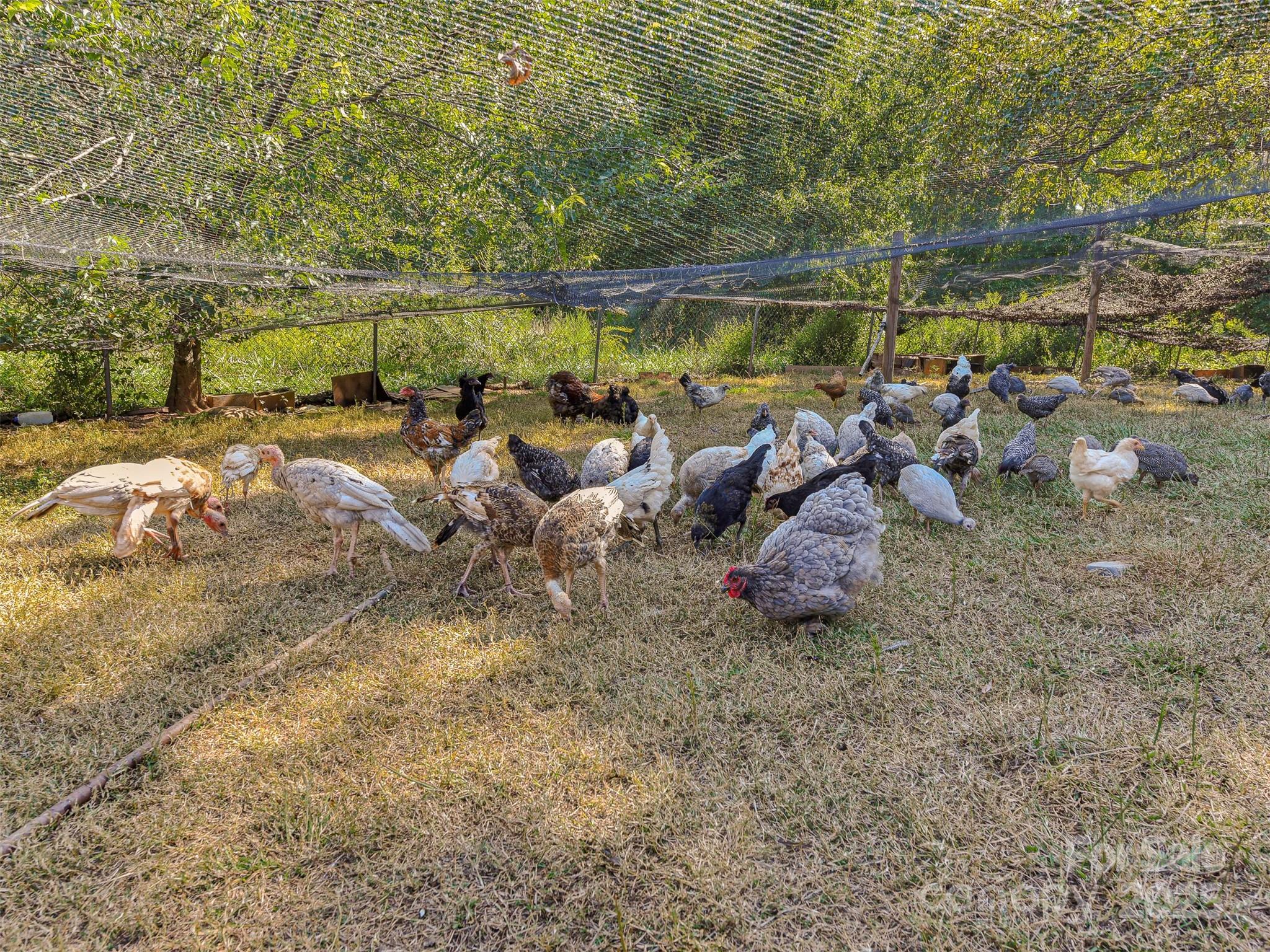 Forest City, North Carolina, 28043, United States, 2 Bedrooms Bedrooms, ,1 BathroomBathrooms,Residential,For Sale,1983157