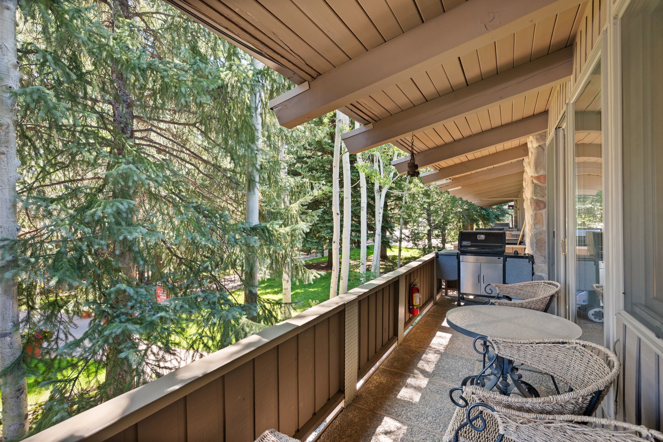  700 Ute Avenue, Aspen, CO, 81611 - 物件實景