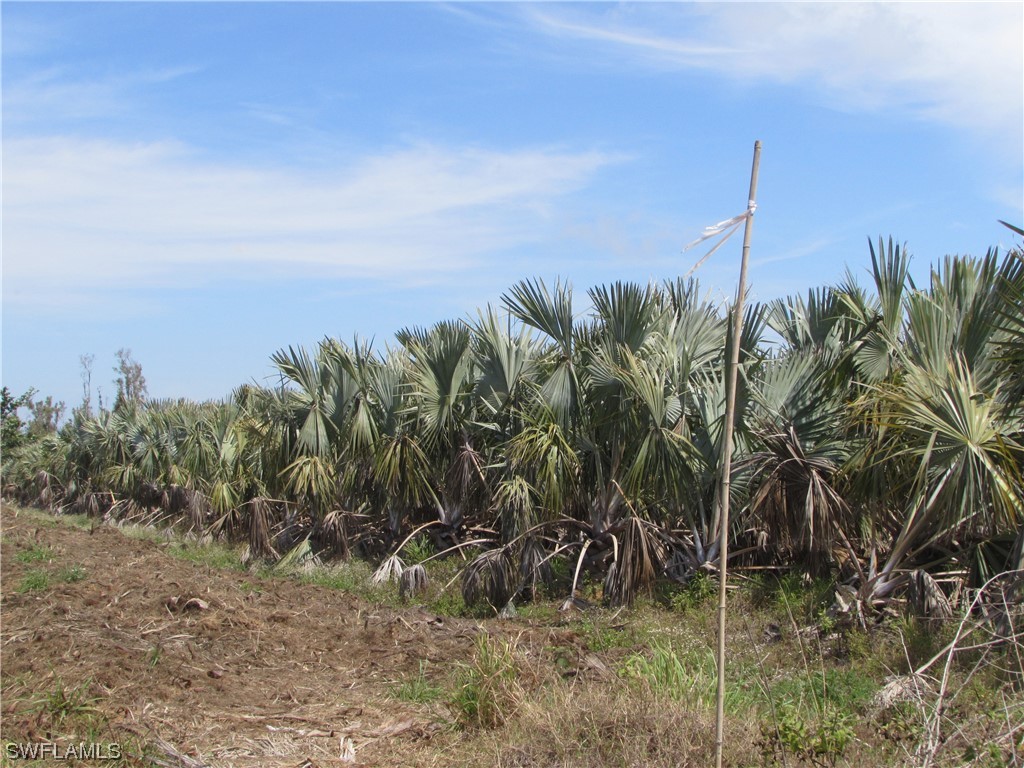 13350 Stringfellow Road, Bokeelia, Florida, 33922, United States, ,Residential,For Sale,13350 Stringfellow Road,1239470