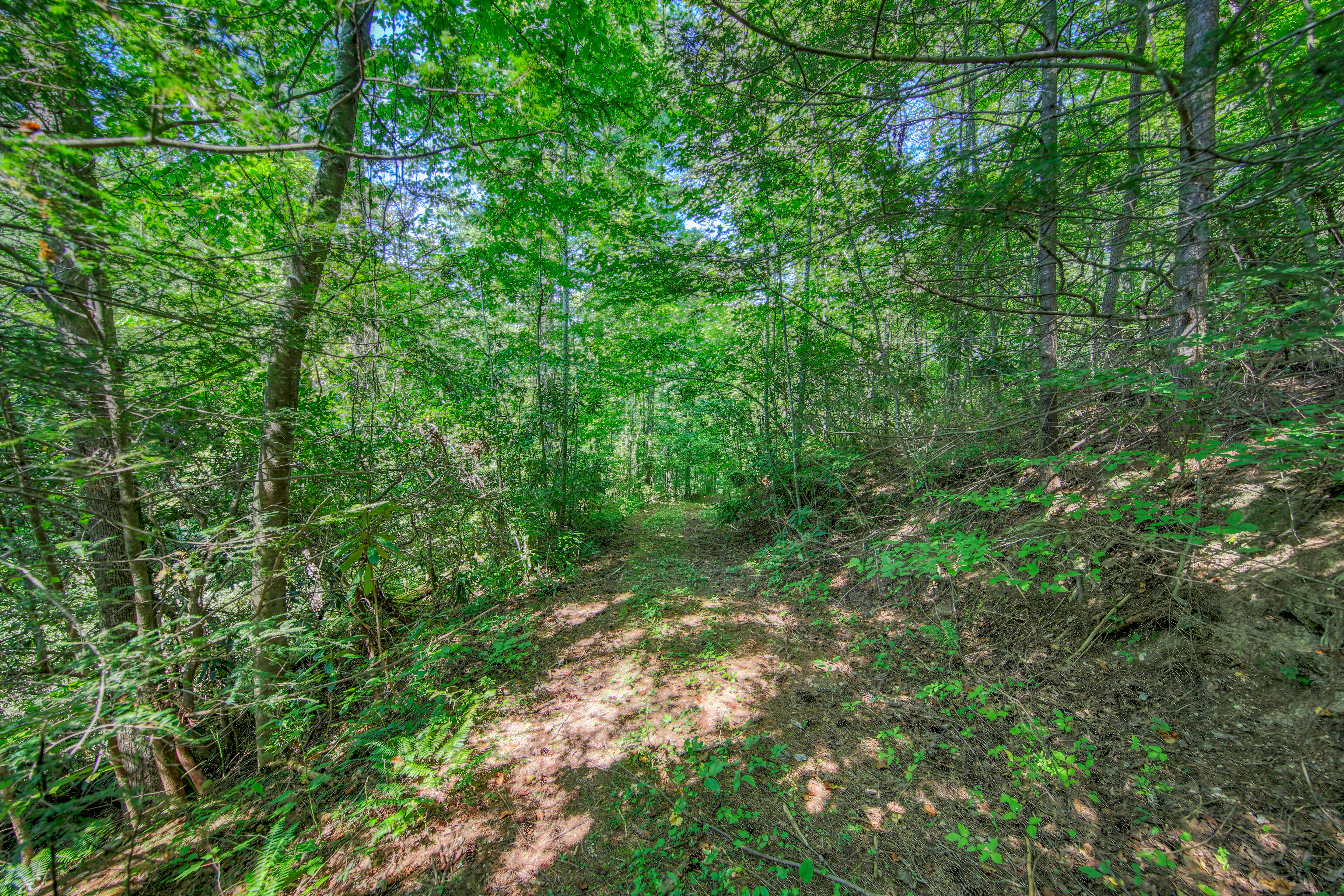  Belcher Loop, Tellico Plains, TN 37385 - 物件實景