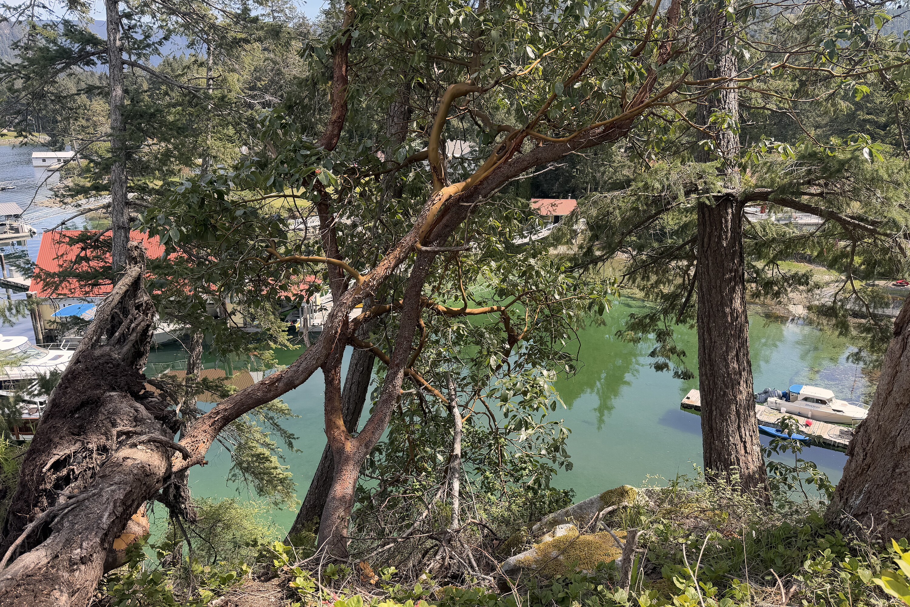  Madeira Park, Sunshine Coast - 物件實景