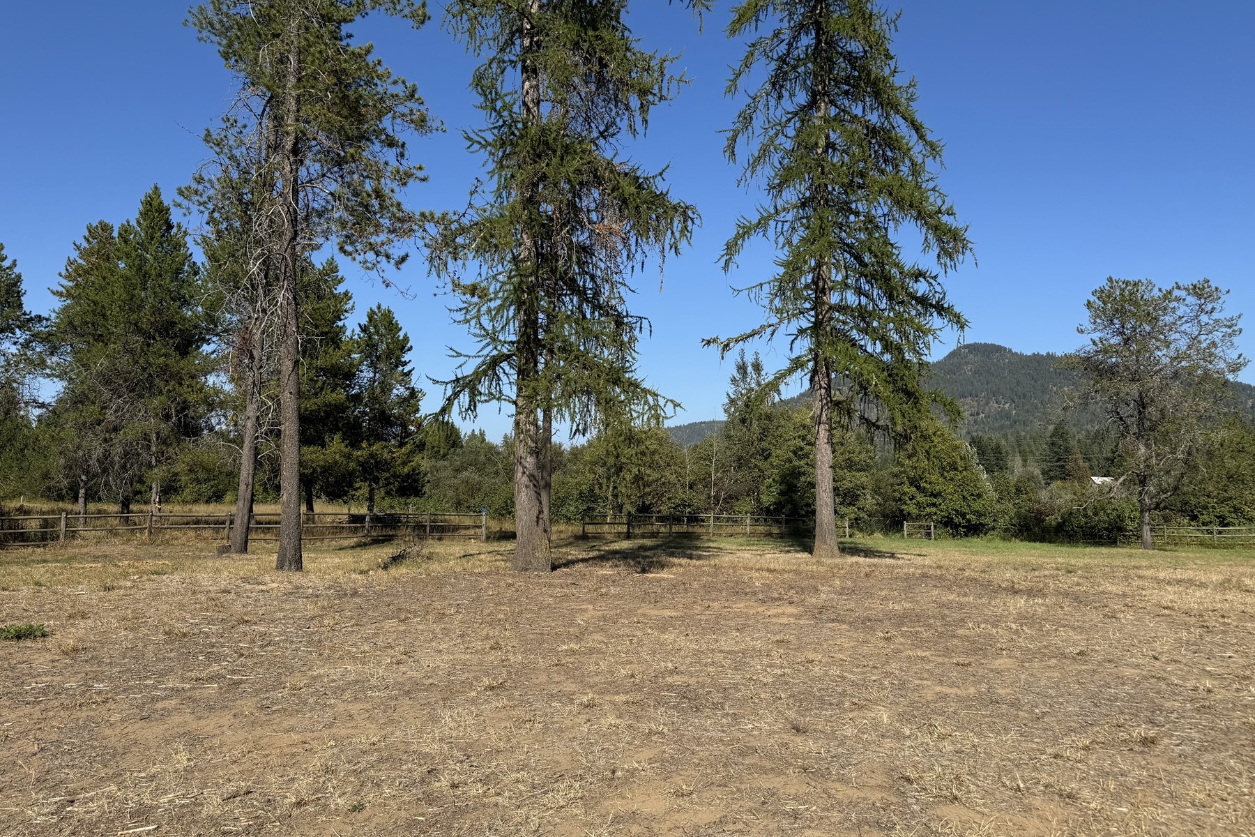  The Old Spur Homestead - 物件實景