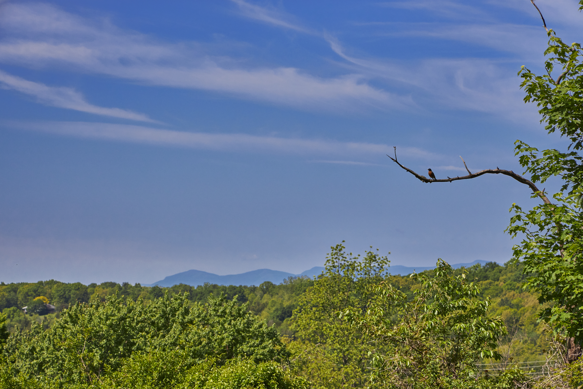 7 Blum Road, Ghent, NY, 12075 - 物件實景