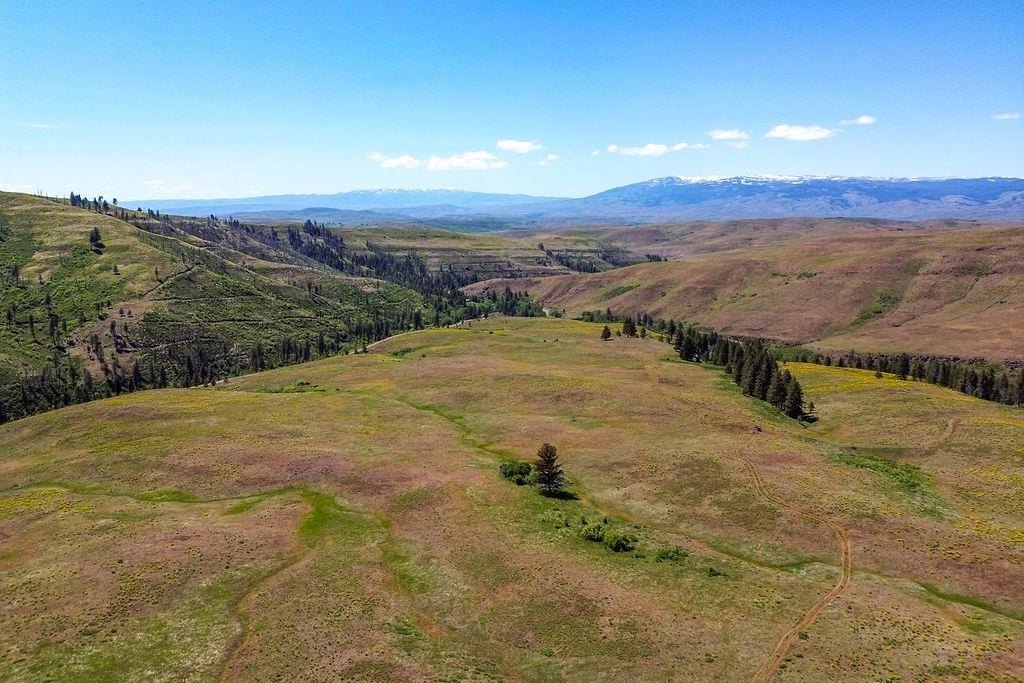Council, Idaho, 83612, United States, ,Residential,For Sale,1980255
