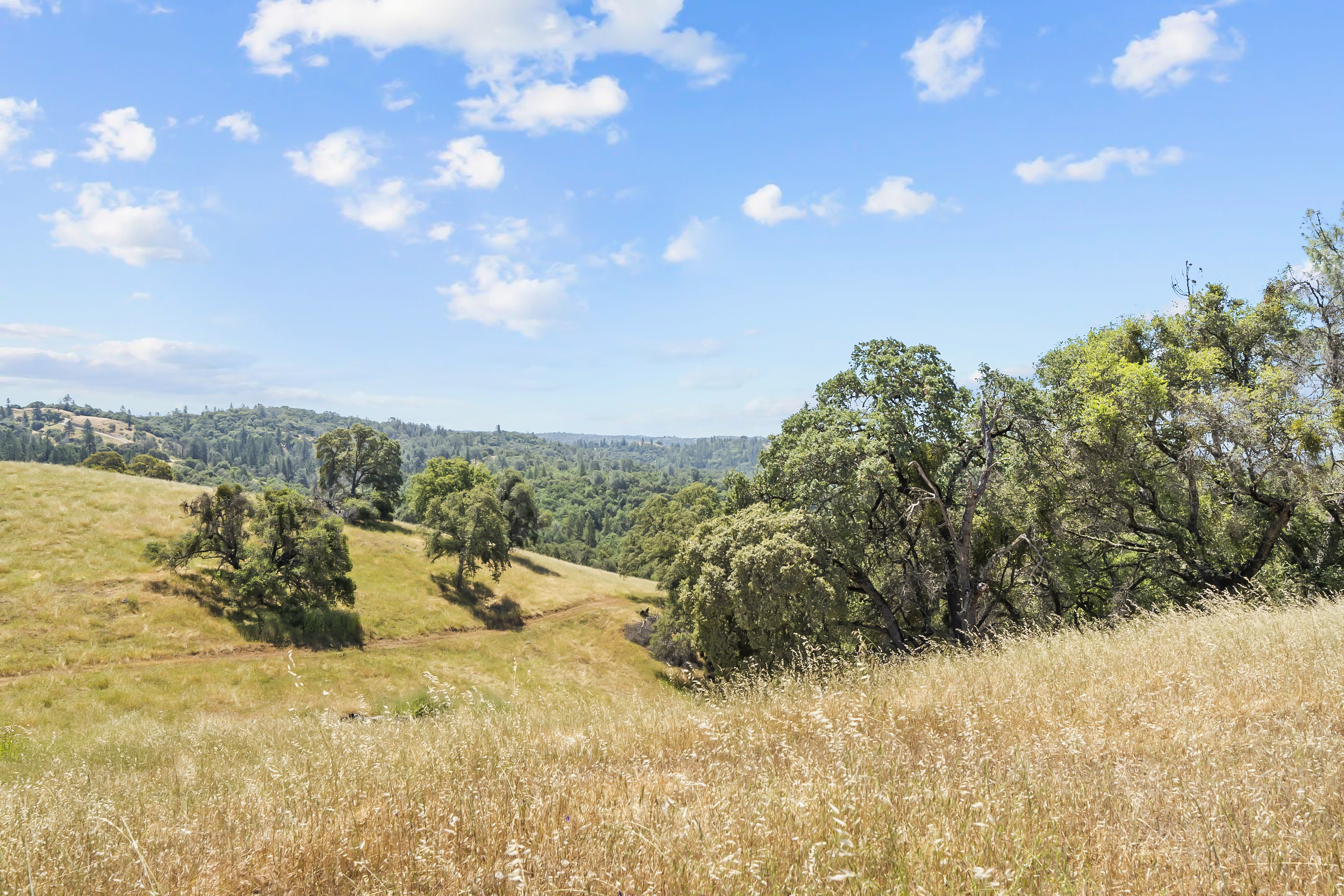  Amoruso Ranch 1000+ Acres Legacy - 物件實景
