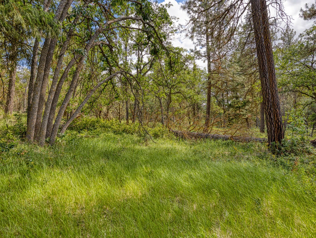 Klamath Falls, Oregon, 97601, United States, ,Land,For Sale,1793869