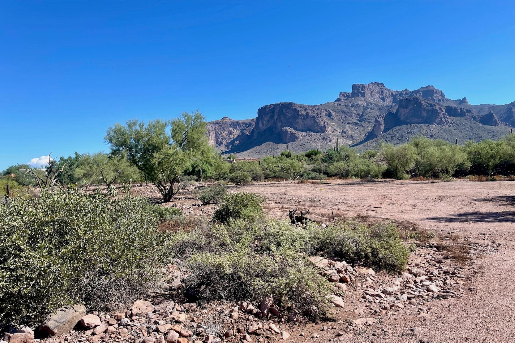  52 E Scenic (geronimo) Street¦Apache Junction, AZ - 物件實景