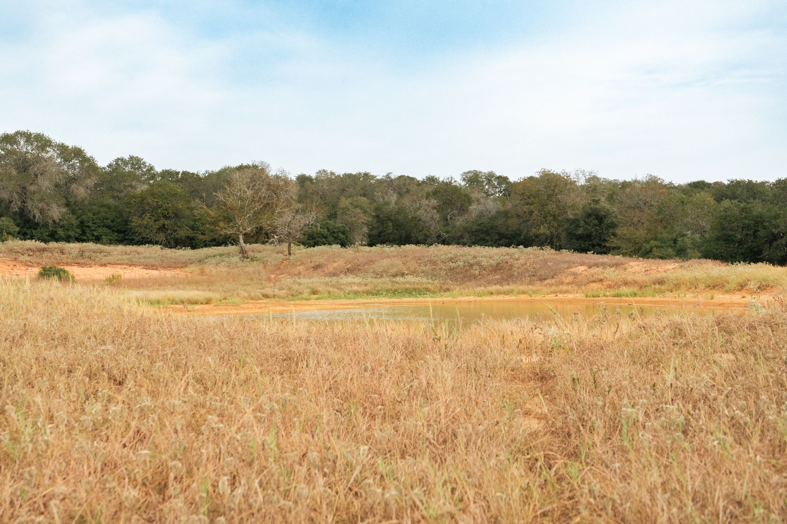  860+/- Acre PQR Ranch in Gonzales County - 物件實景