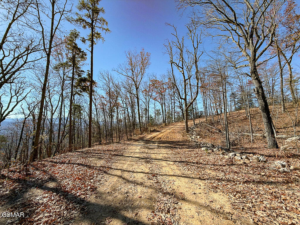 Sevierville, Tennessee, 37876, United States, ,Land,For Sale,2008093