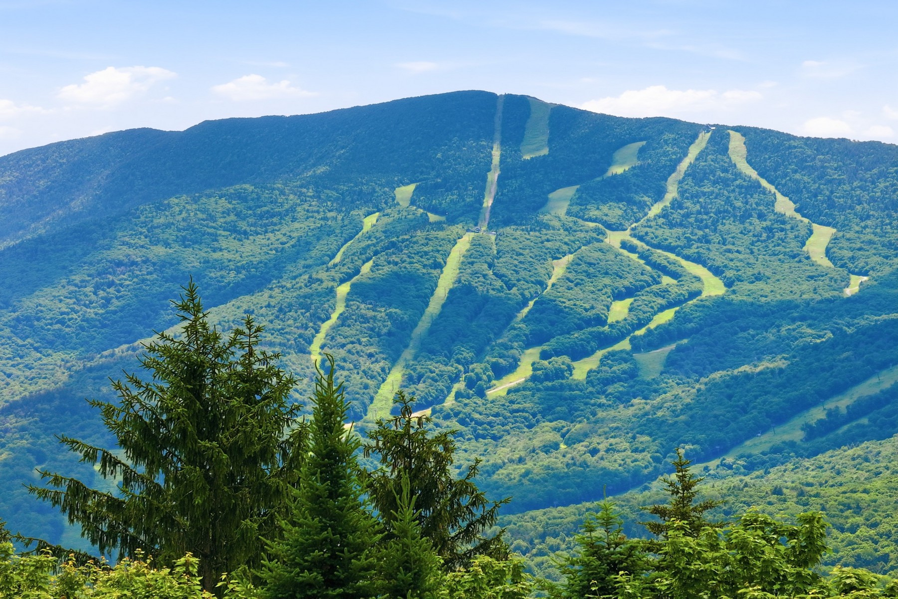 421 Stagecoach Road - 物件實景