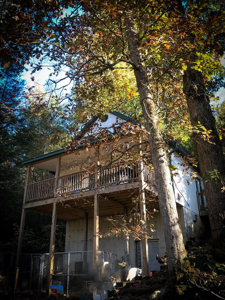 2151 Old Northcutt Road, Ellijay, Georgia, 30536, United States, 4 Bedrooms Bedrooms, ,2 BathroomsBathrooms,Residential,For Sale,2151 Old Northcutt Road,1538841