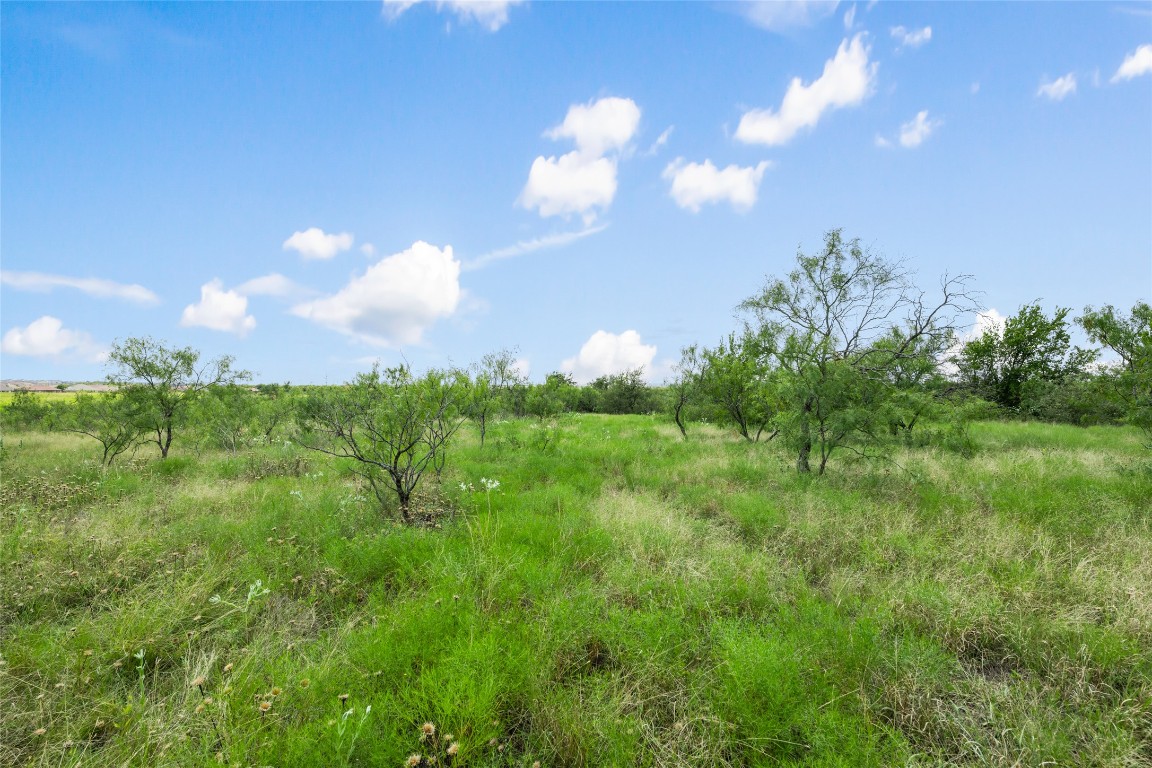 Jarrell, Texas, 76537, United States, ,Land,For Sale,1911504