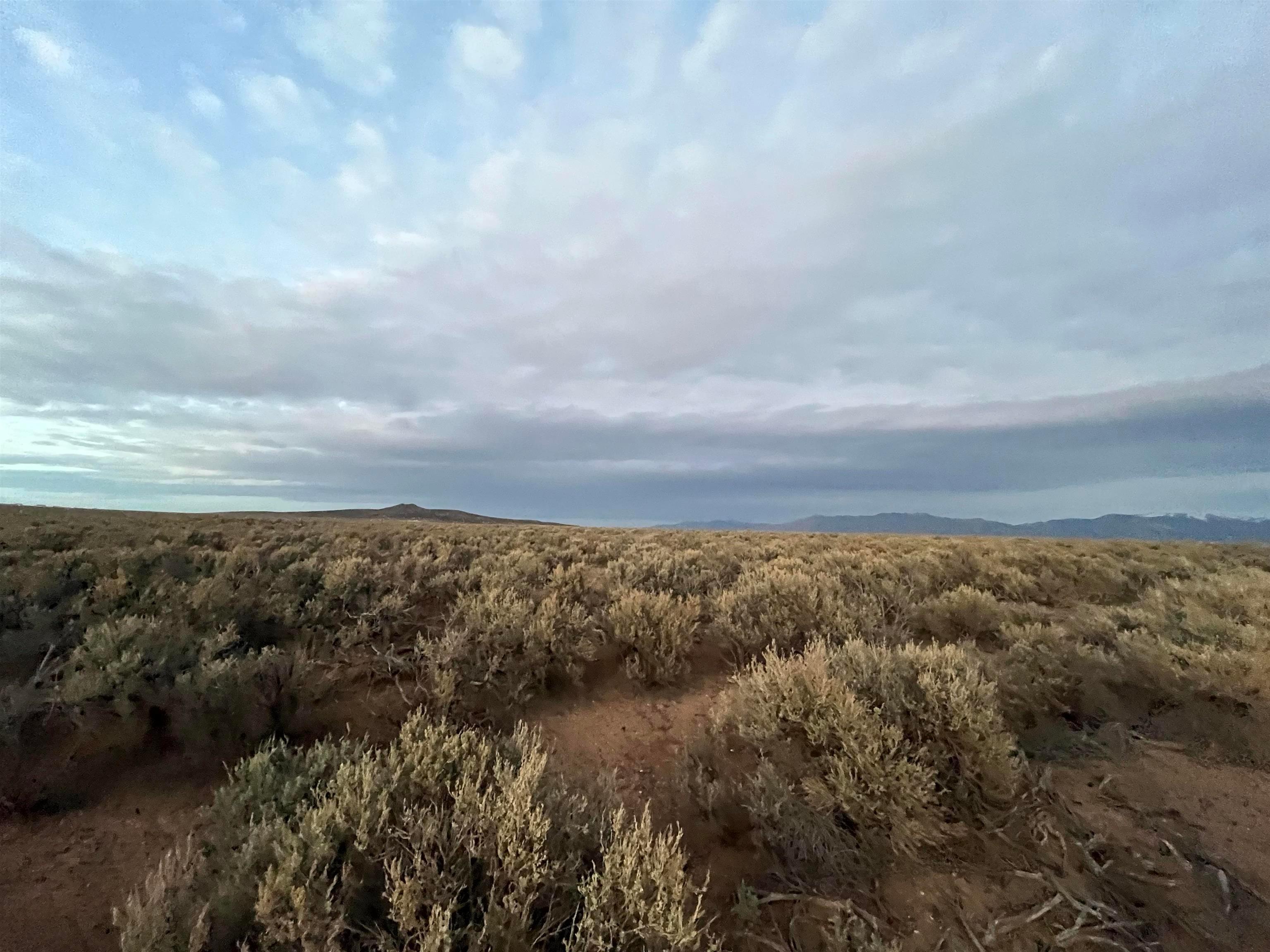 Sheep Herder Rd, Tres Piedras, New Mexico, 87577, United States, ,Land,For Sale,Sheep Herder Rd,1679207