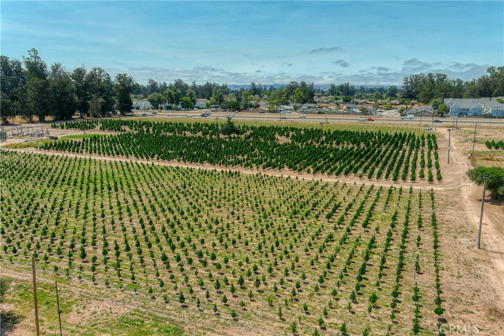 Nipomo, California, 93444, United States, ,Land,For Sale,1977690