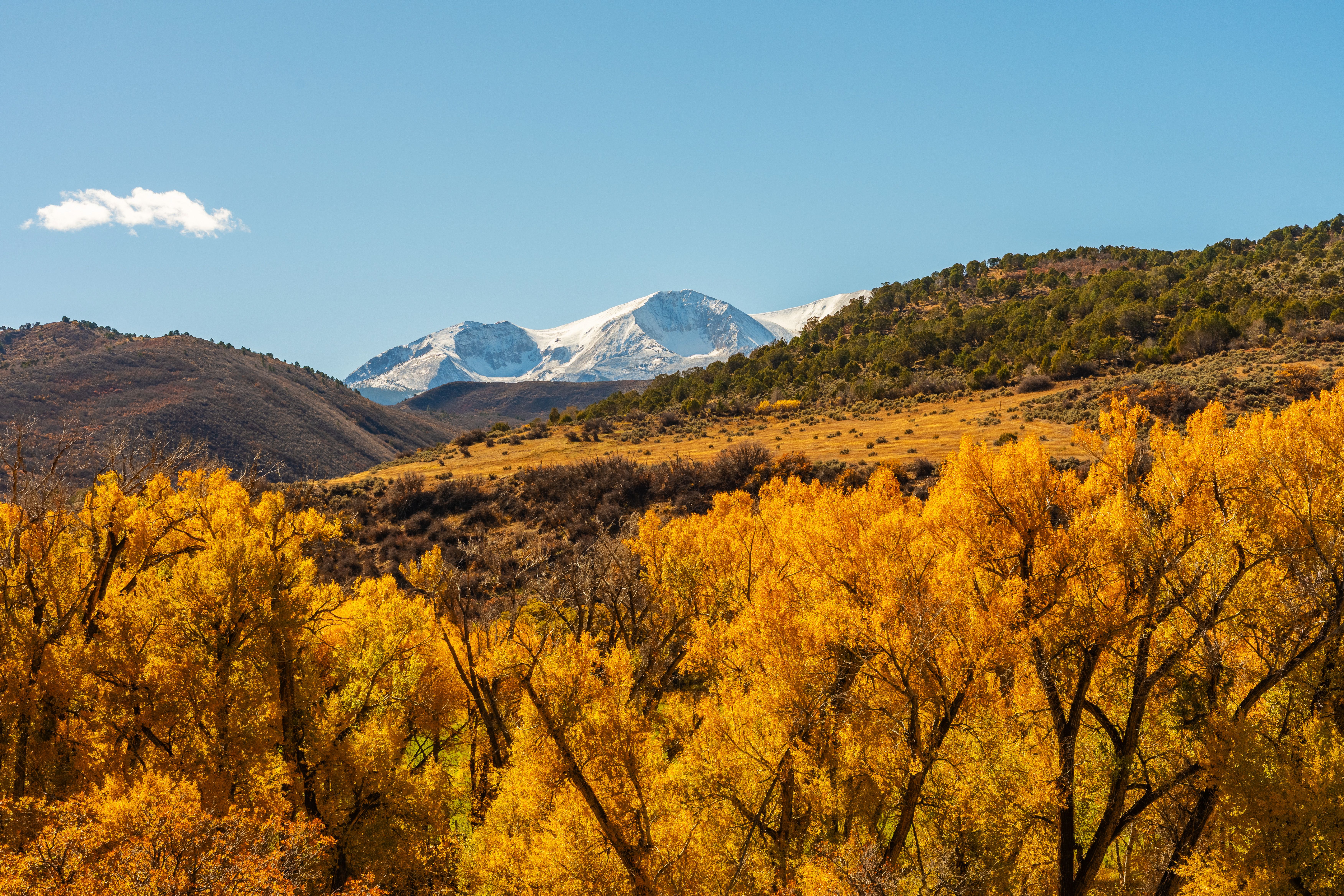  Crafted by Hand, Framed by Sopris - 物件實景