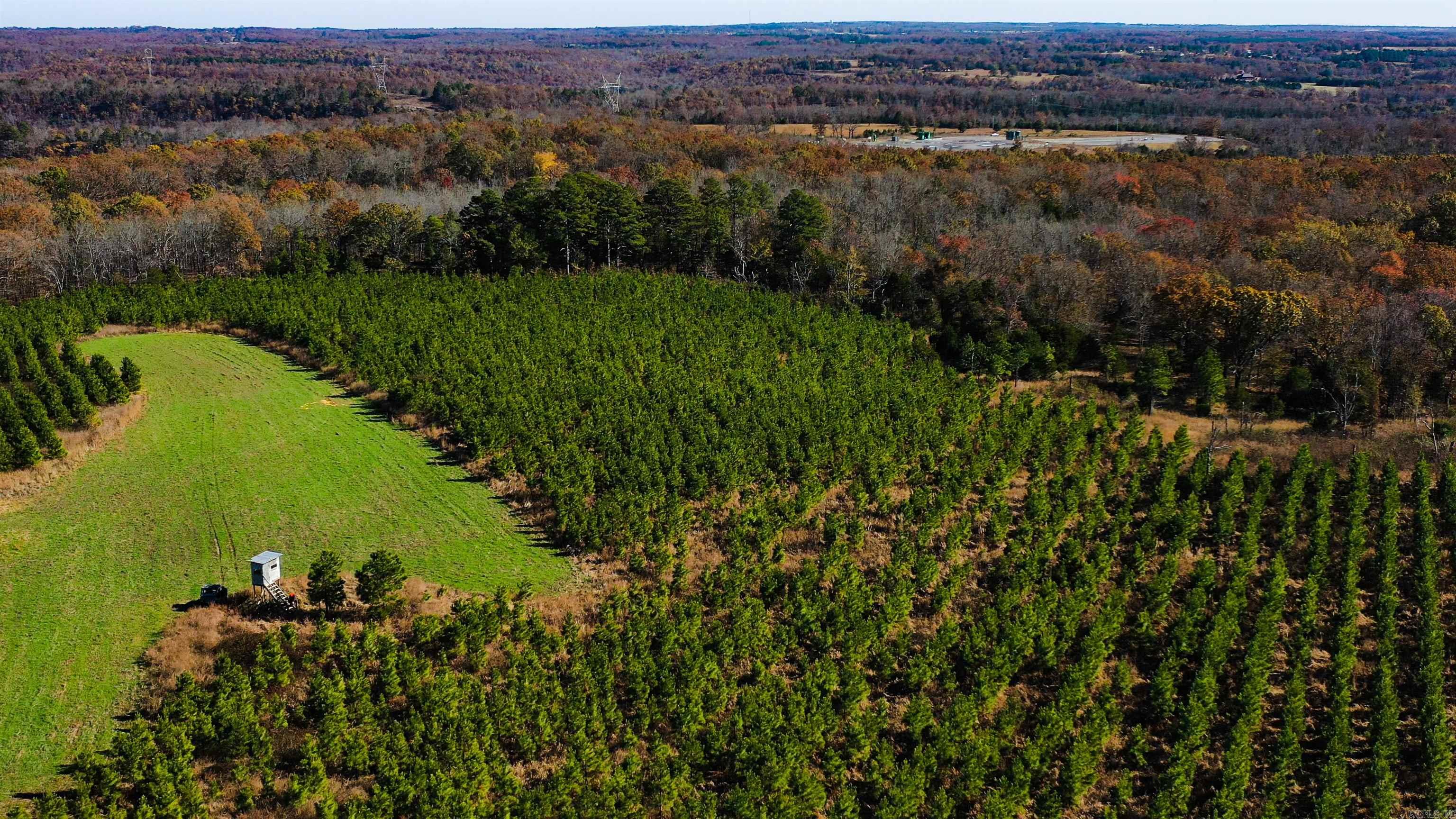 Judsonia, Arkansas, 72081, United States, ,Land,For Sale,1978553