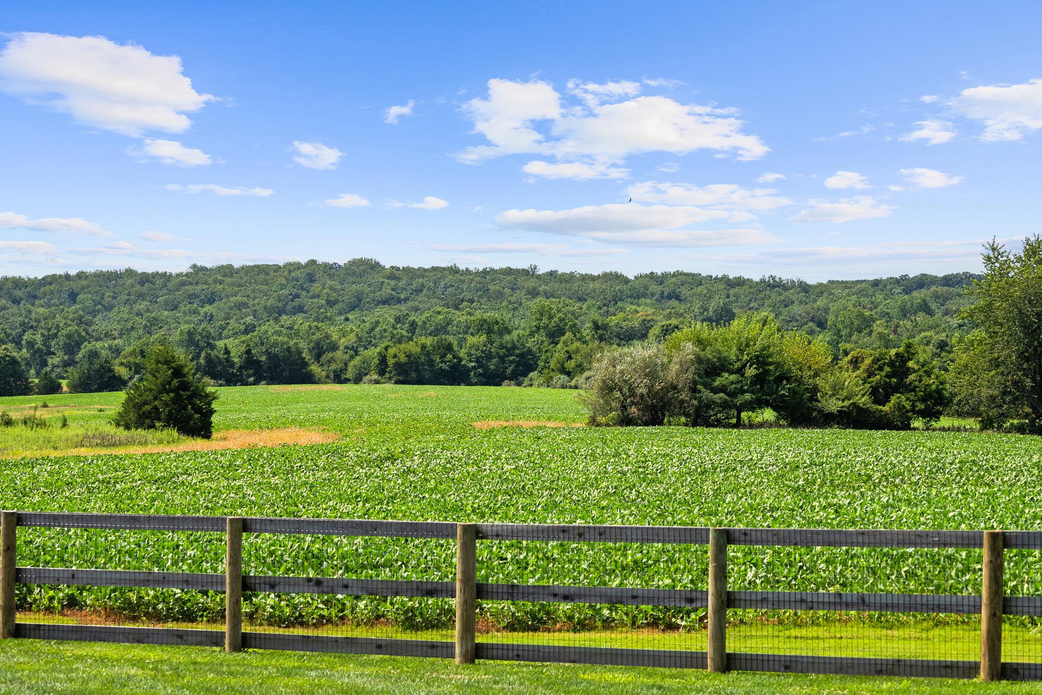  21100 W Offutt Road, Poolesville, MD, 20837 - 物件實景