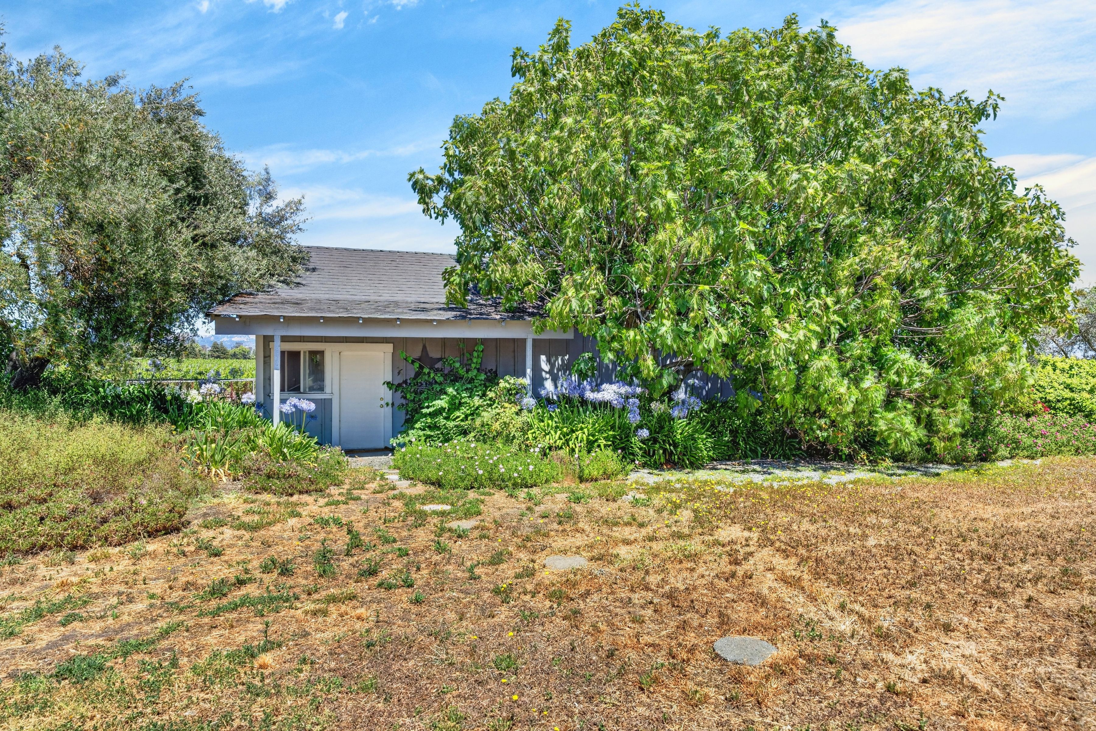  Sonoma Valley Vineyard Estate - 物件實景