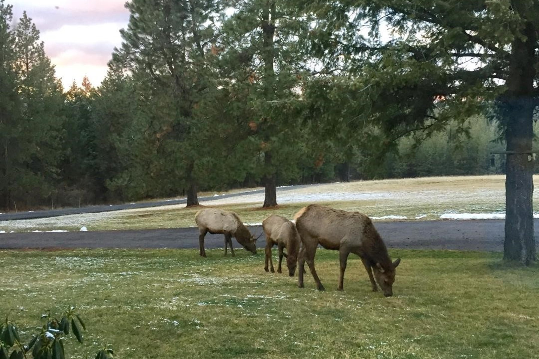  Ranchette - 物件實景