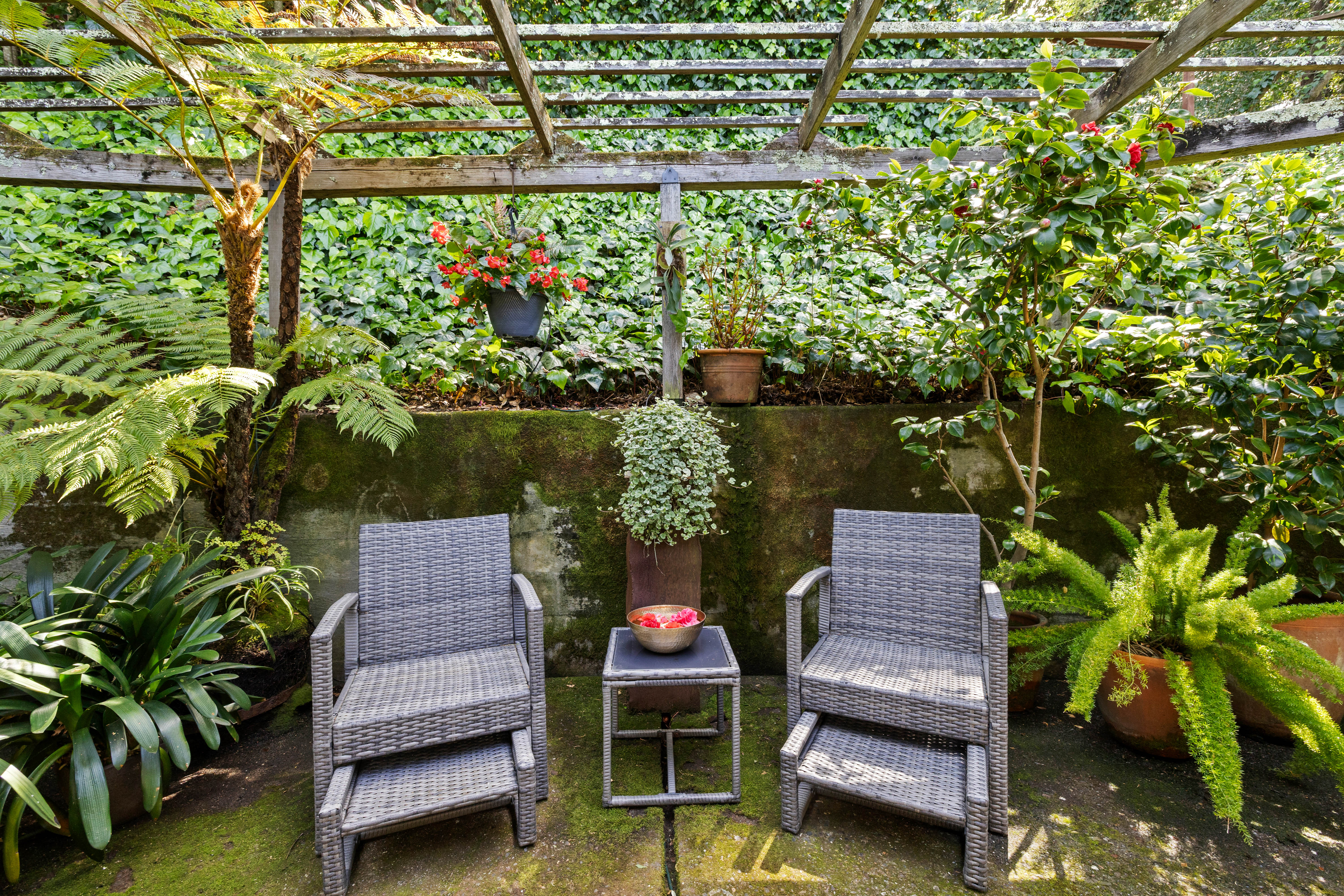  Mid-Century Design and Natural Tranquility in San Rafael’s West End - 物件實景