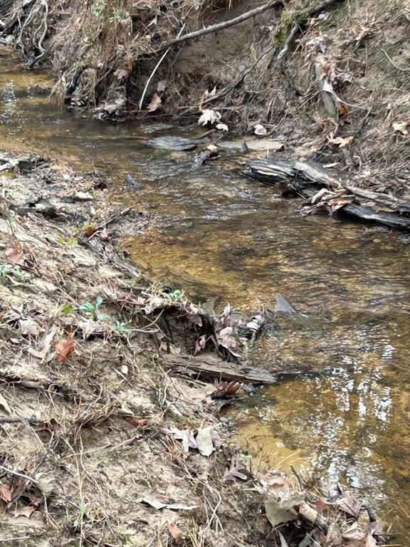 Huntington, Texas, 75949, United States, ,Land,For Sale,1784283