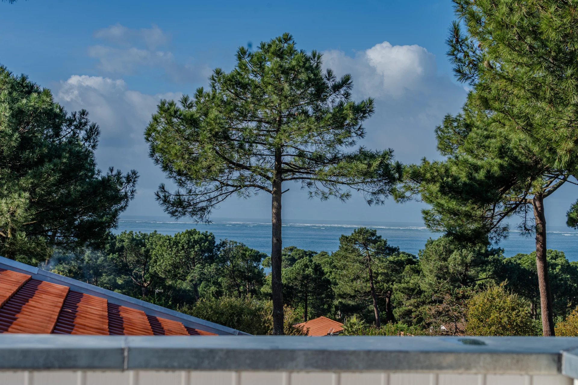 Pyla-sur-Mer, New Aquitaine, 33115, FR, 5 Bedrooms Bedrooms, ,5 BathroomsBathrooms,Residential,For Sale,1669094