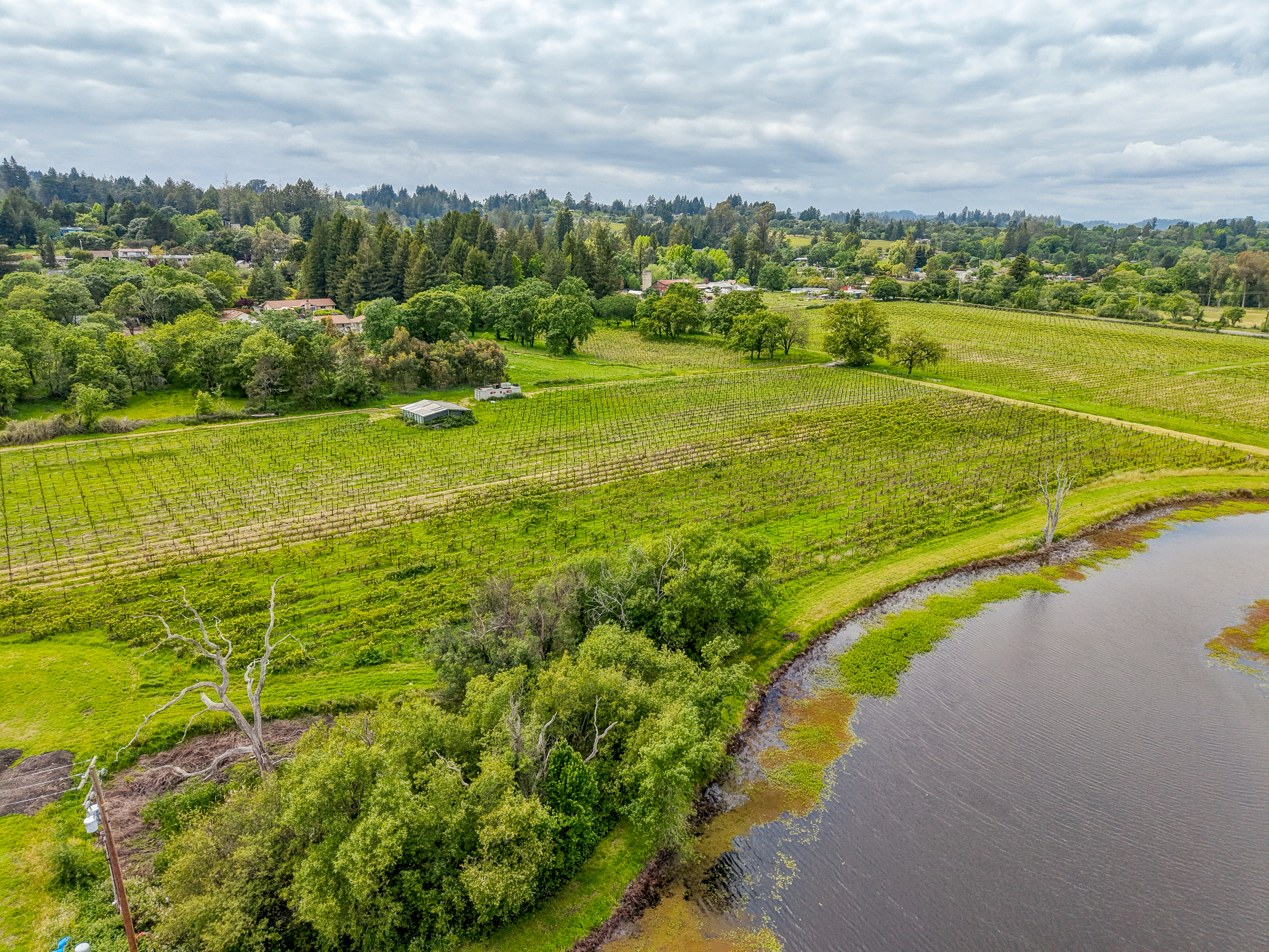  9700 Mill Station Road, Sebastopol, CA 95472 - 物件實景