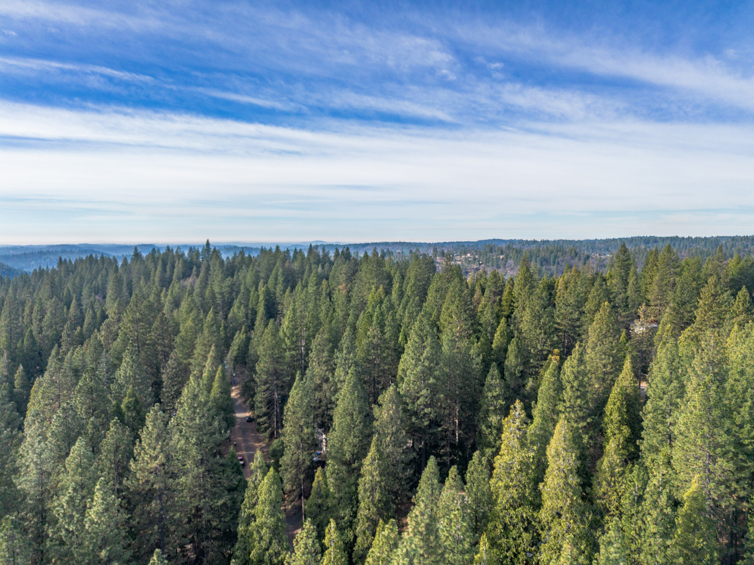  6169 Kokanee Lane, Pollock Pines, CA 95726 - 物件實景