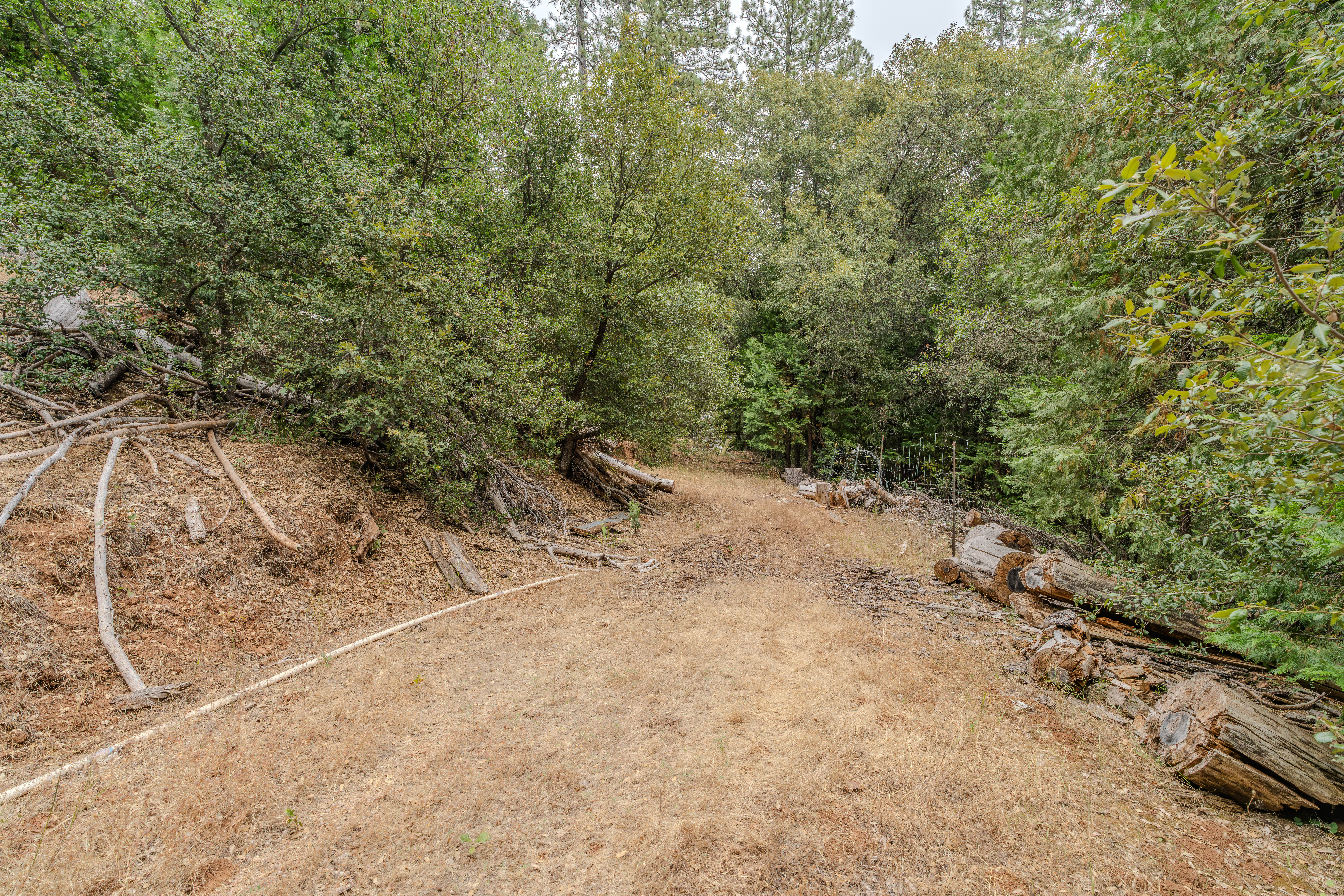  18101 Old River Road, Fiddletown, CA 95629 - 物件實景