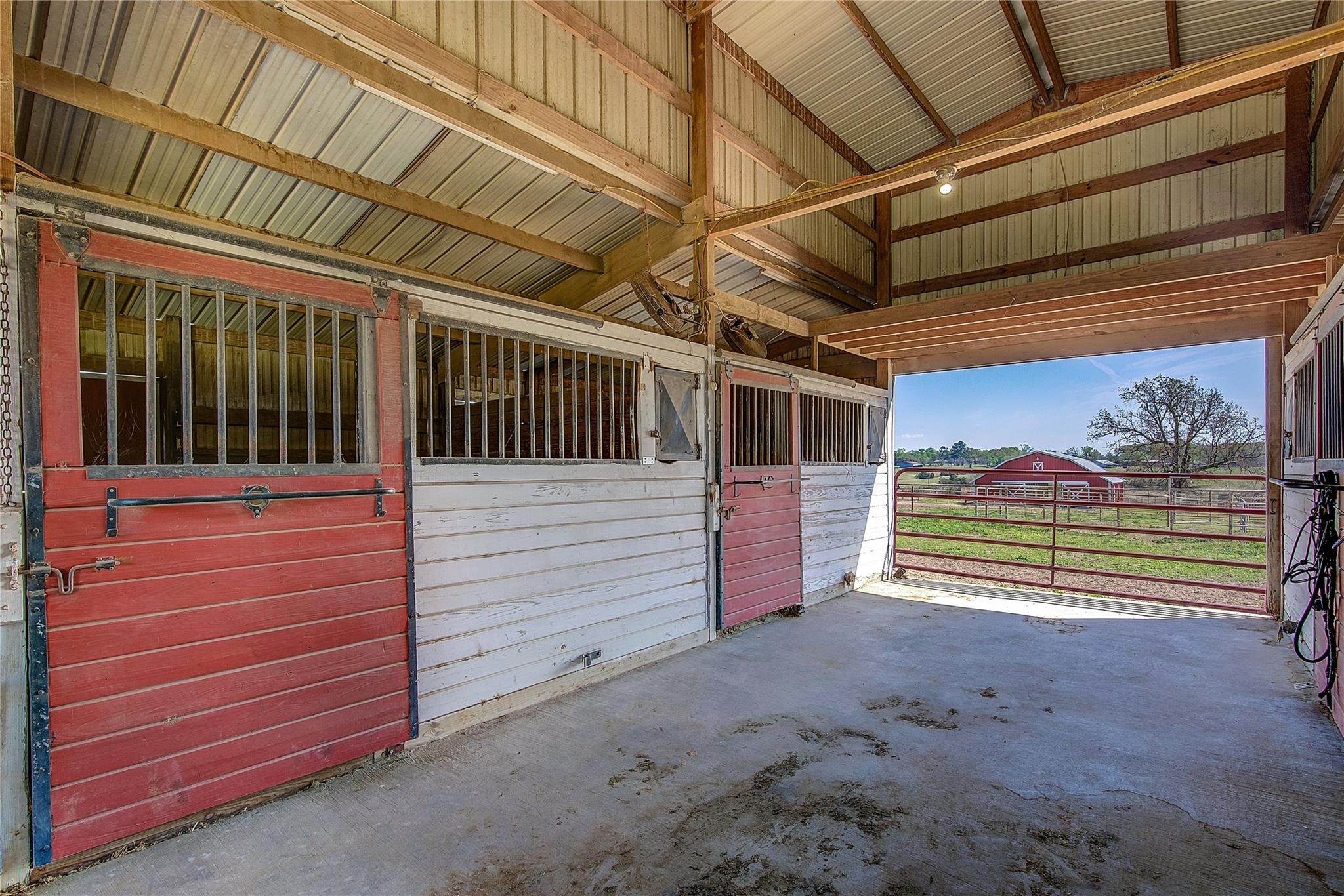 Sulphur Springs, Texas, 75482, United States, 4 Bedrooms Bedrooms, ,3 BathroomsBathrooms,Residential,For Sale,2032755
