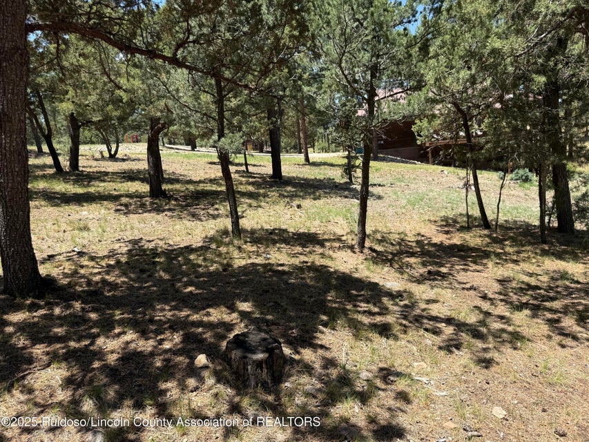 Alto, New Mexico, 88312, United States, 3 Bedrooms Bedrooms, ,4 BathroomsBathrooms,Residential,For Sale,1975387