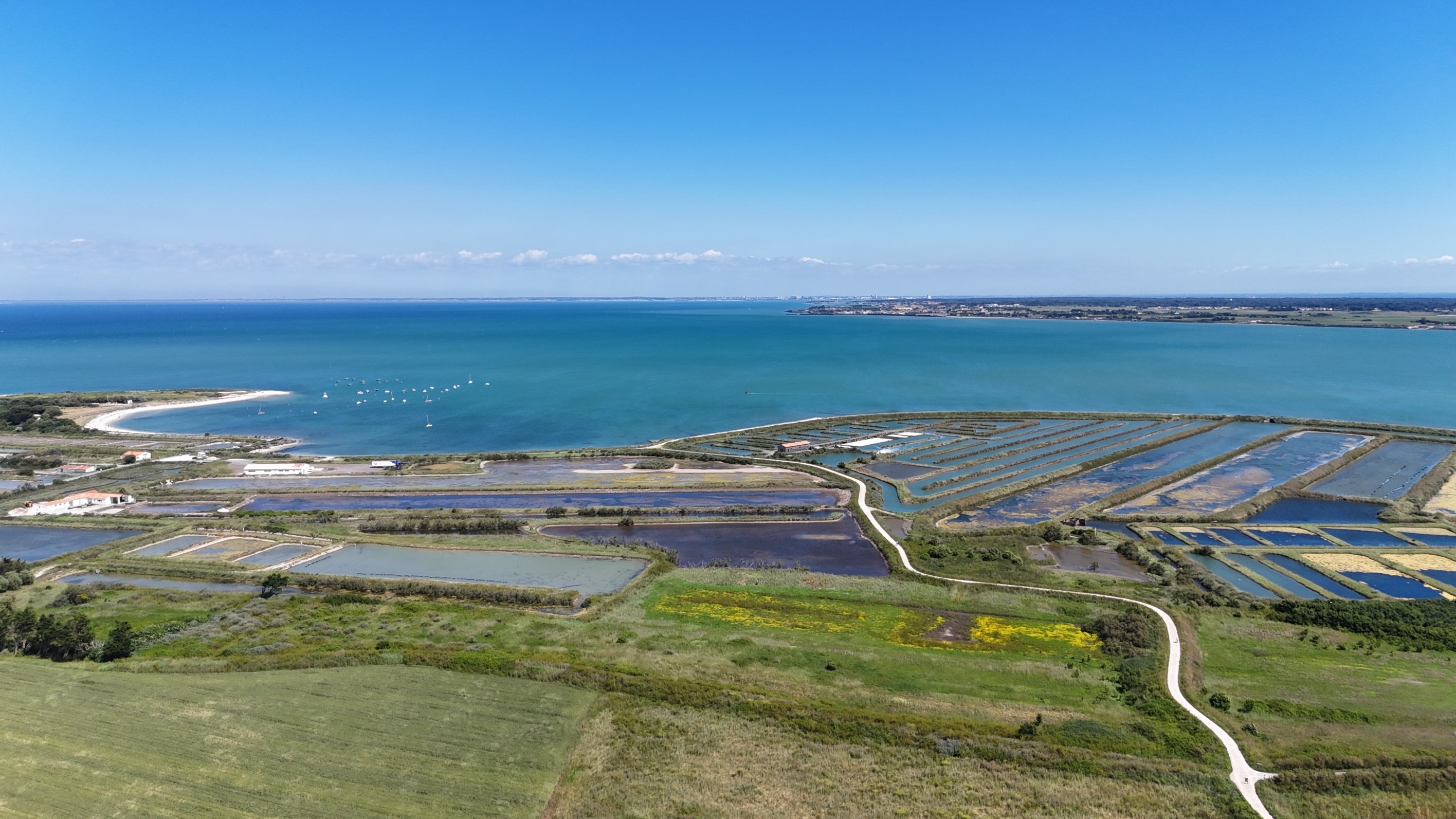 Île de Ré - Loix - Family house with swimming pool - 物件實景