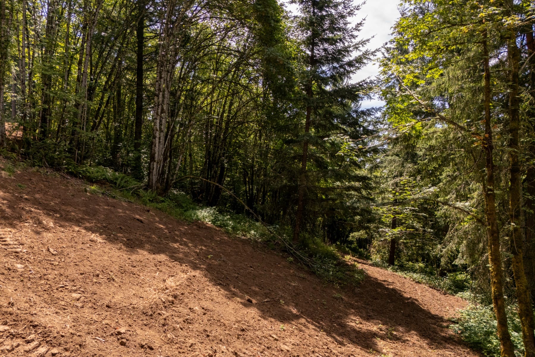  30540 NE BELL RD Newberg, OR 97132 - 物件實景