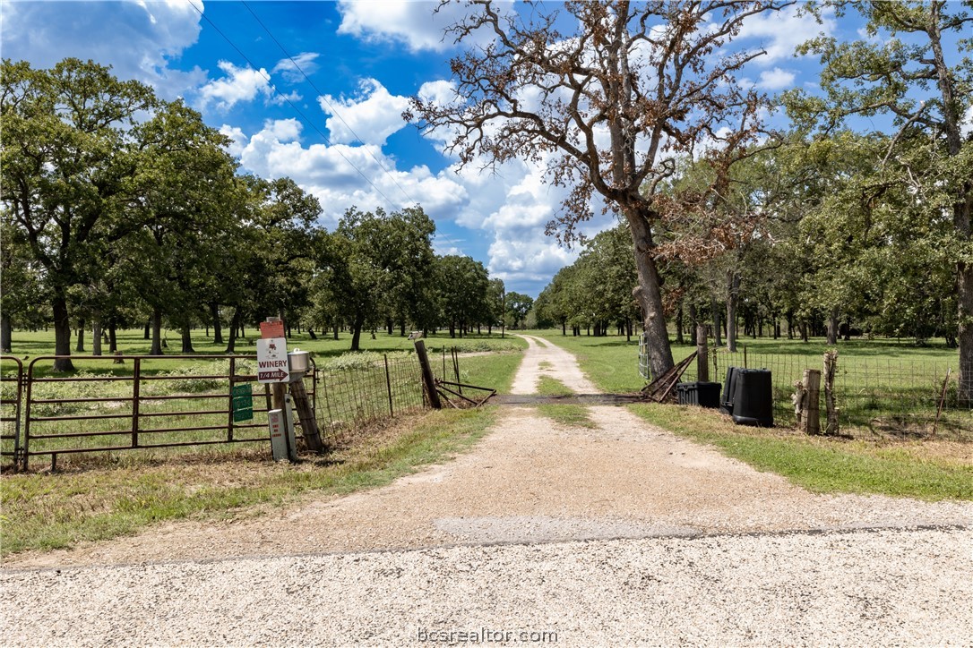 19270 Crenshaw, College Station, Texas, 77845, United States, ,Land,For Sale,19270 Crenshaw,1613970