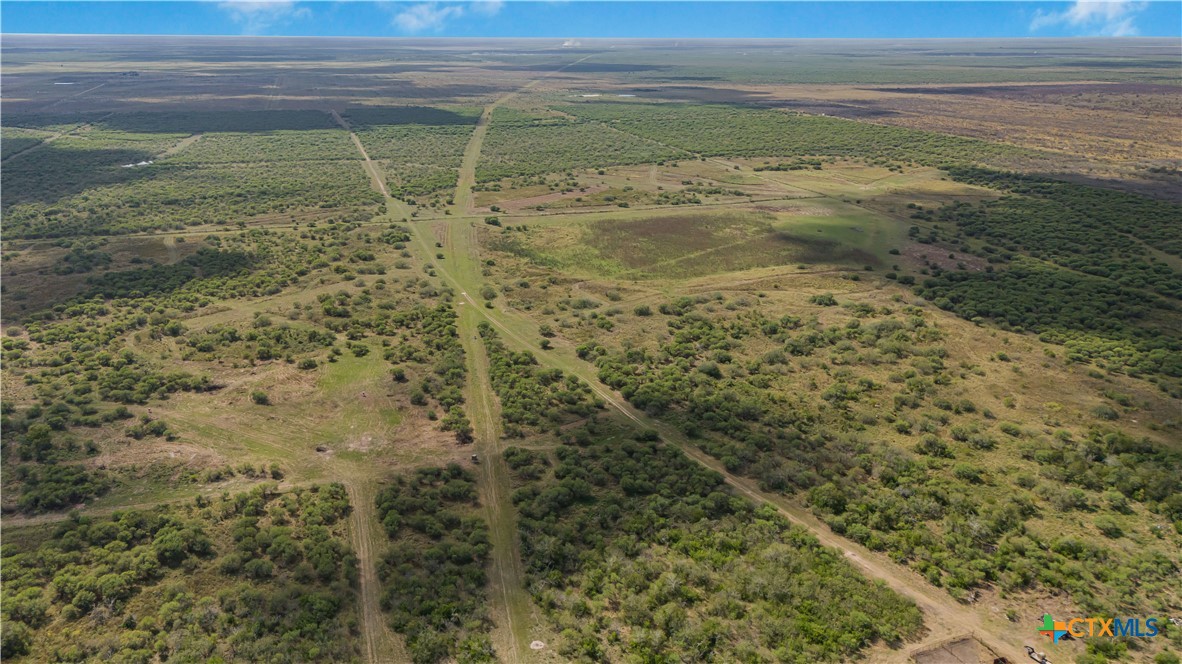 Tivoli, Texas, 77990, United States, ,Land,For Sale,1996181