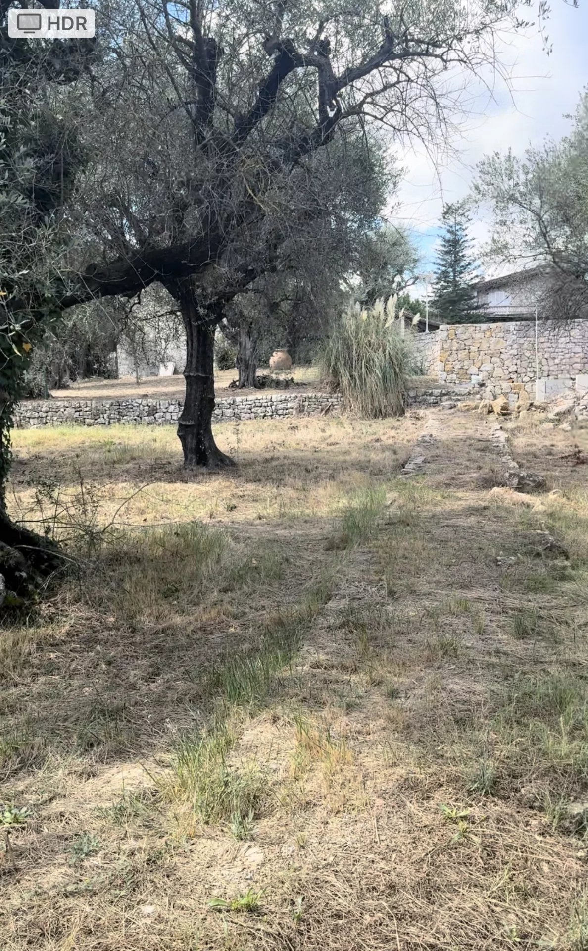 Valbonne, Provence-Alpes-Côte d’Azur, 06560, FR, ,Land,For Sale,1959024