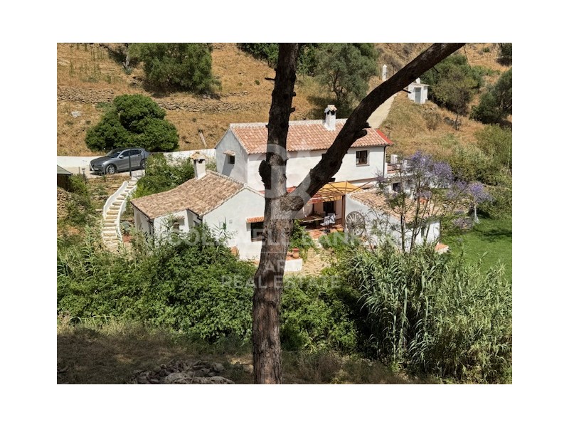 Casares, Andalusia, ES, 4 Bedrooms Bedrooms, ,2 BathroomsBathrooms,Residential,For Sale,1874856