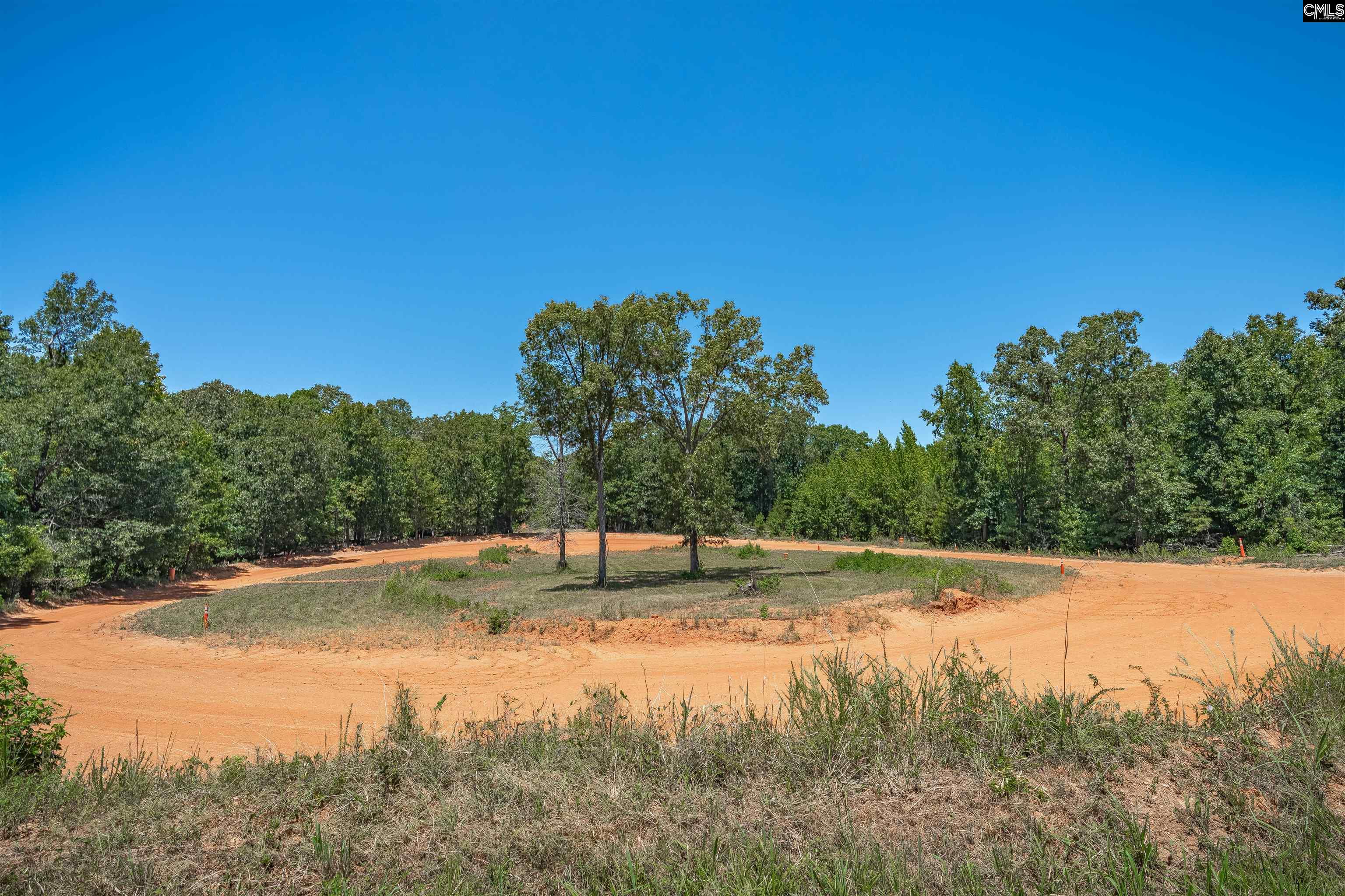 Blythewood, South Carolina, 29016, United States, 4 Bedrooms Bedrooms, ,2 BathroomsBathrooms,Residential,For Sale,1940240