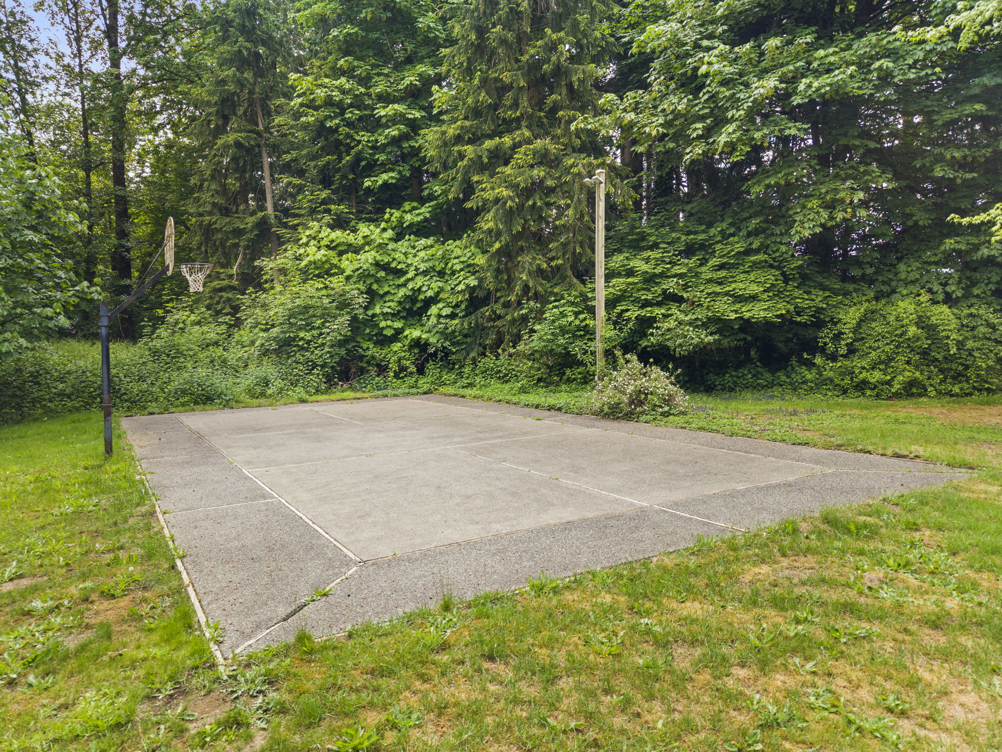  3809 74th Ave SE Olympia, WA 98501 - 物件實景