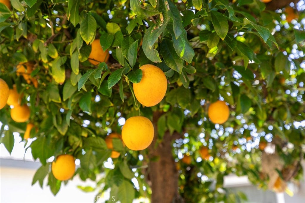 Van Nuys, California, 91405, United States, 2 Bedrooms Bedrooms, ,2 BathroomsBathrooms,Residential,For Sale,1993356